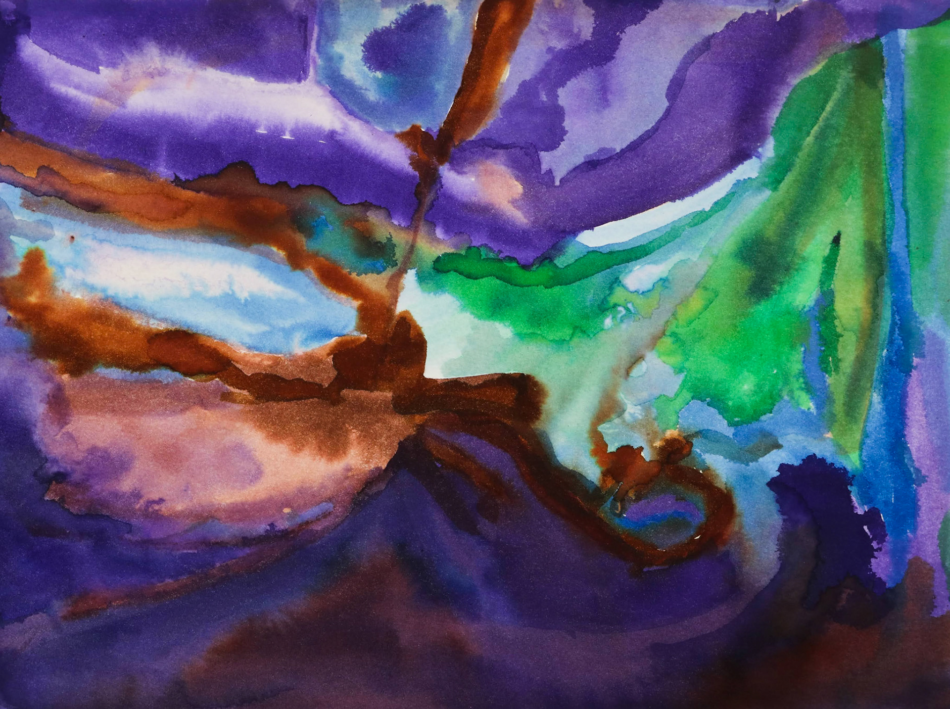 14" x 9" color inks on watercolor paper