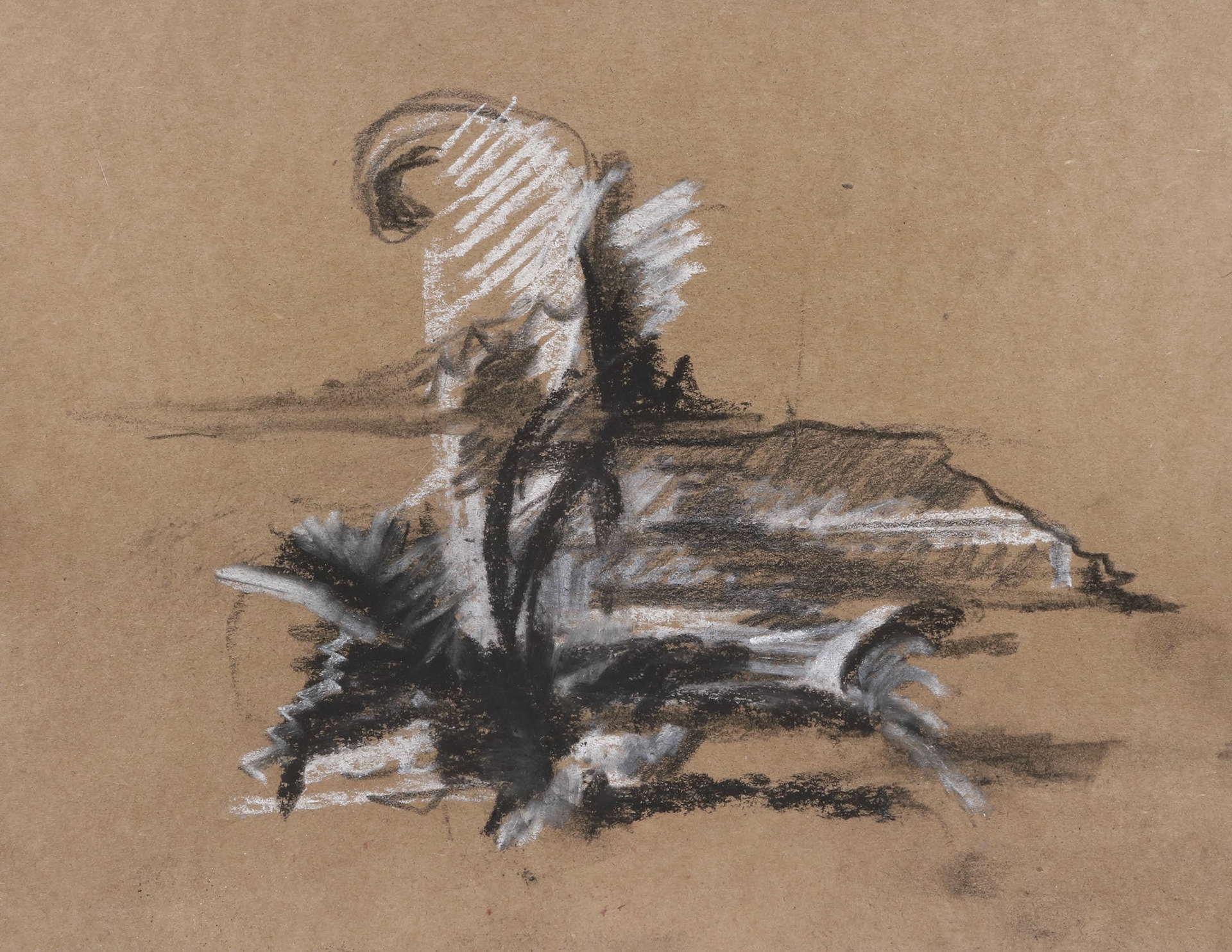 11" x 8.5" charcoal and pastel on brown cardstock