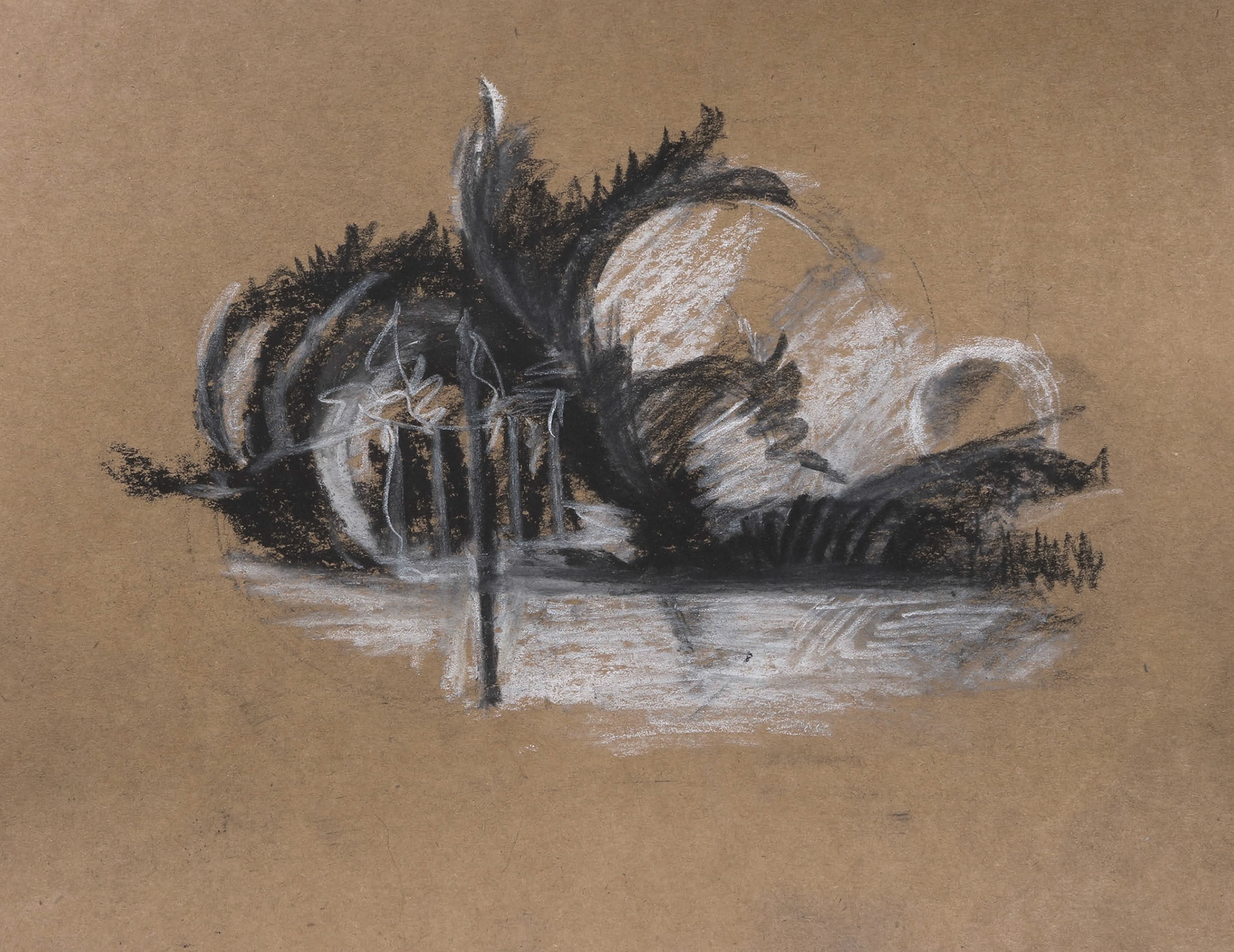 11" x 8.5" charcoal and pastel on brown cardstock