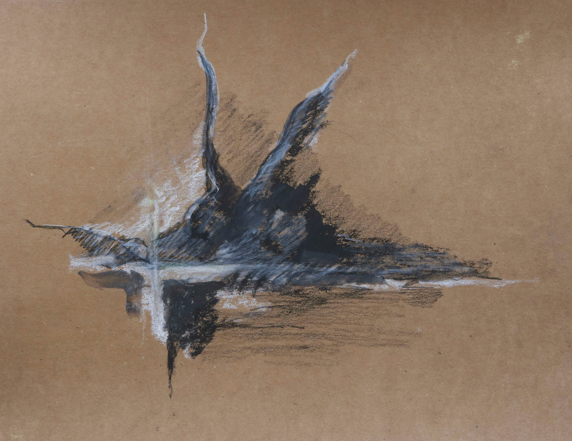 11" x 8.5" charcoal and pastel on brown cardstock