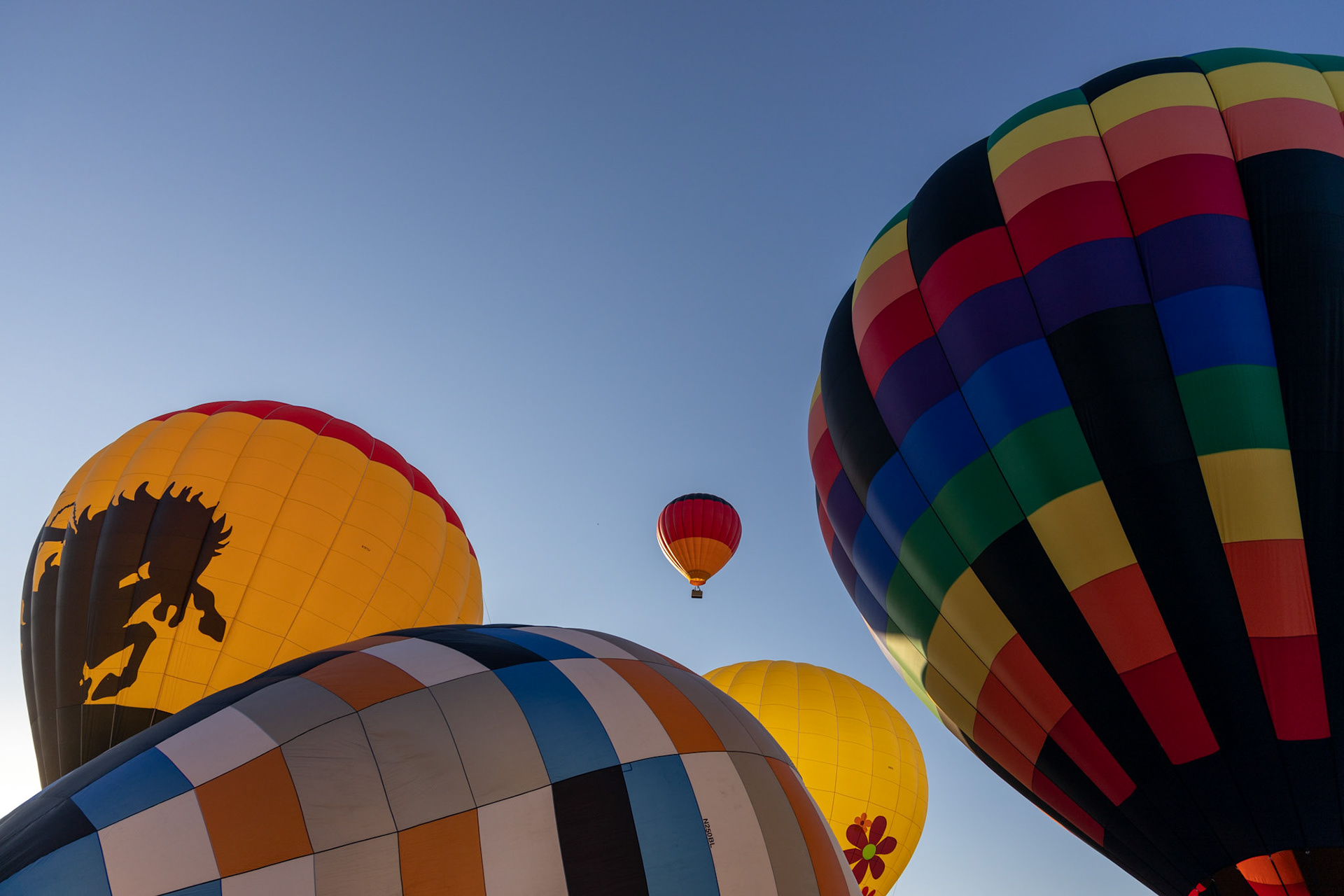 Chili Frijole Festival Hot Air Balloon launch in Pueblo, Colorado