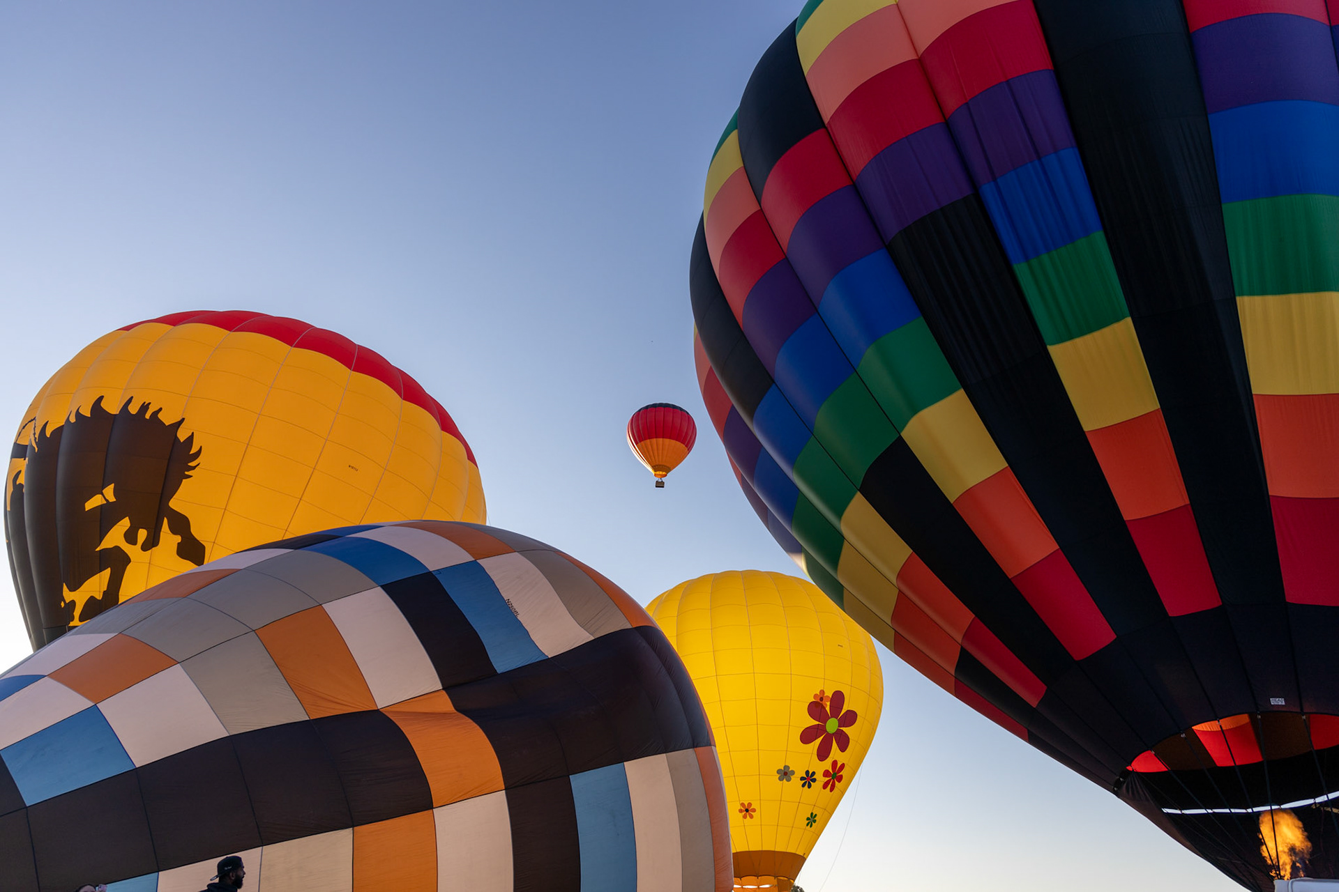 Chili Frijole Festival Hot Air Balloon launch in Pueblo, Colorado