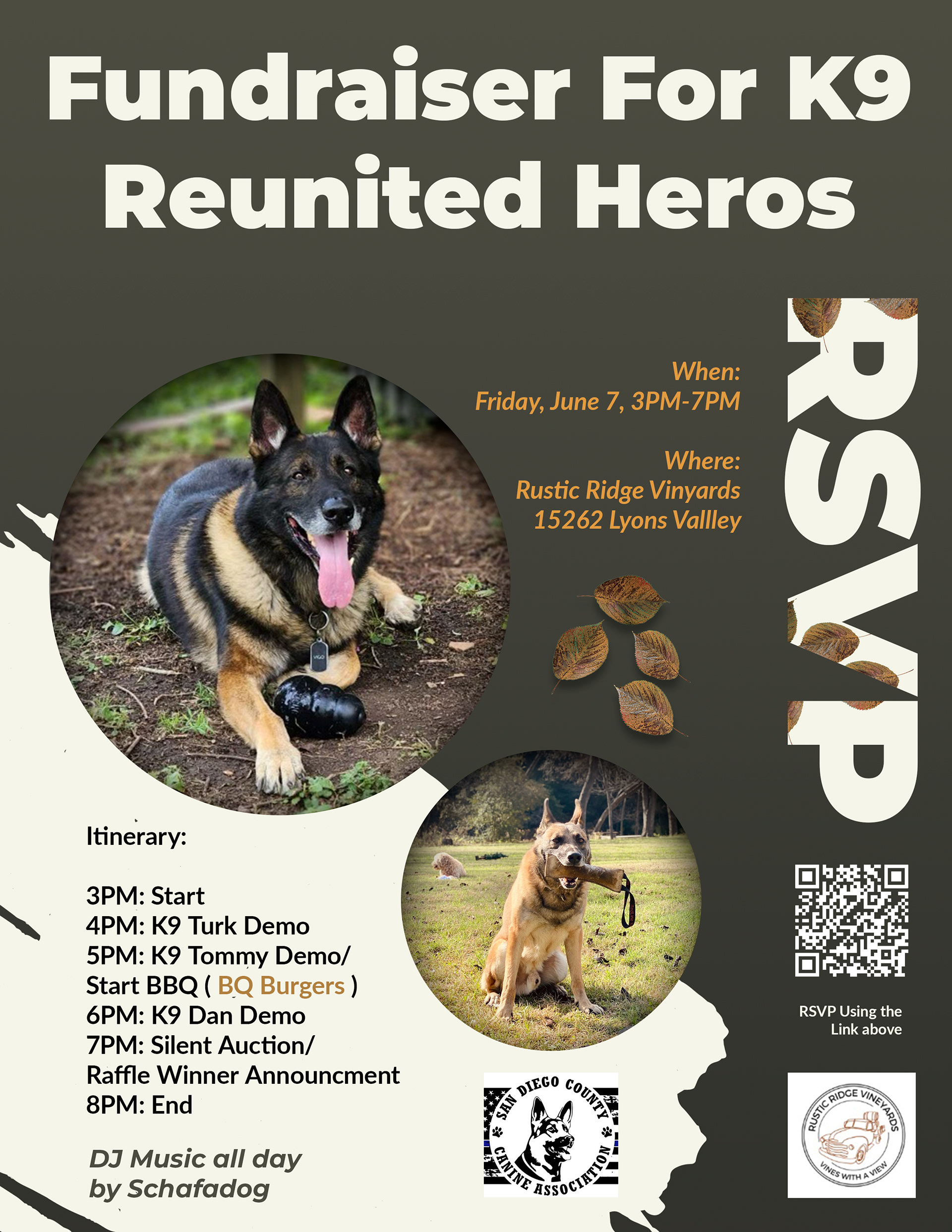 Fundraiser poster for vinyard event in California