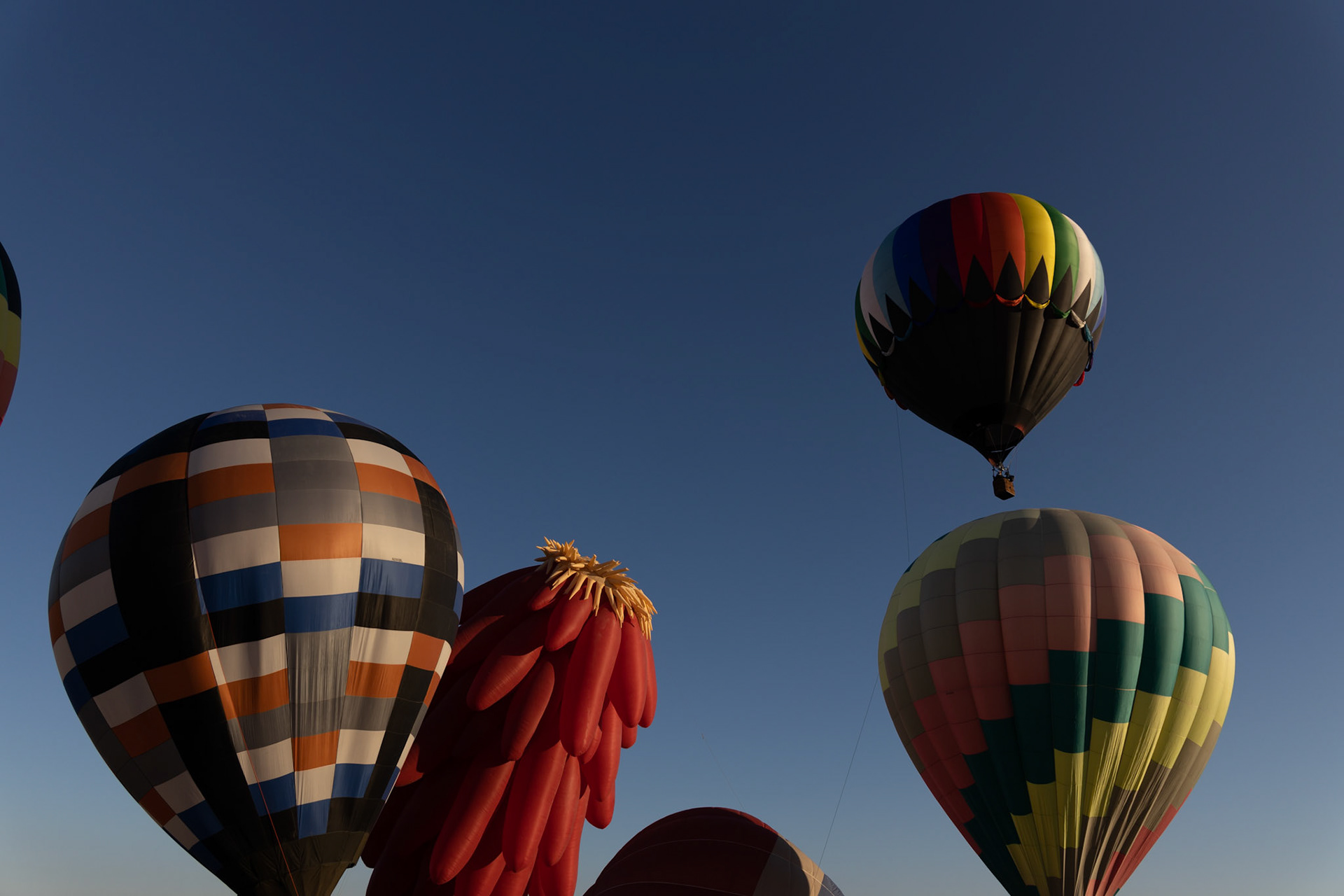 Chili Frijole Festival Hot Air Balloon launch in Pueblo, Colorado