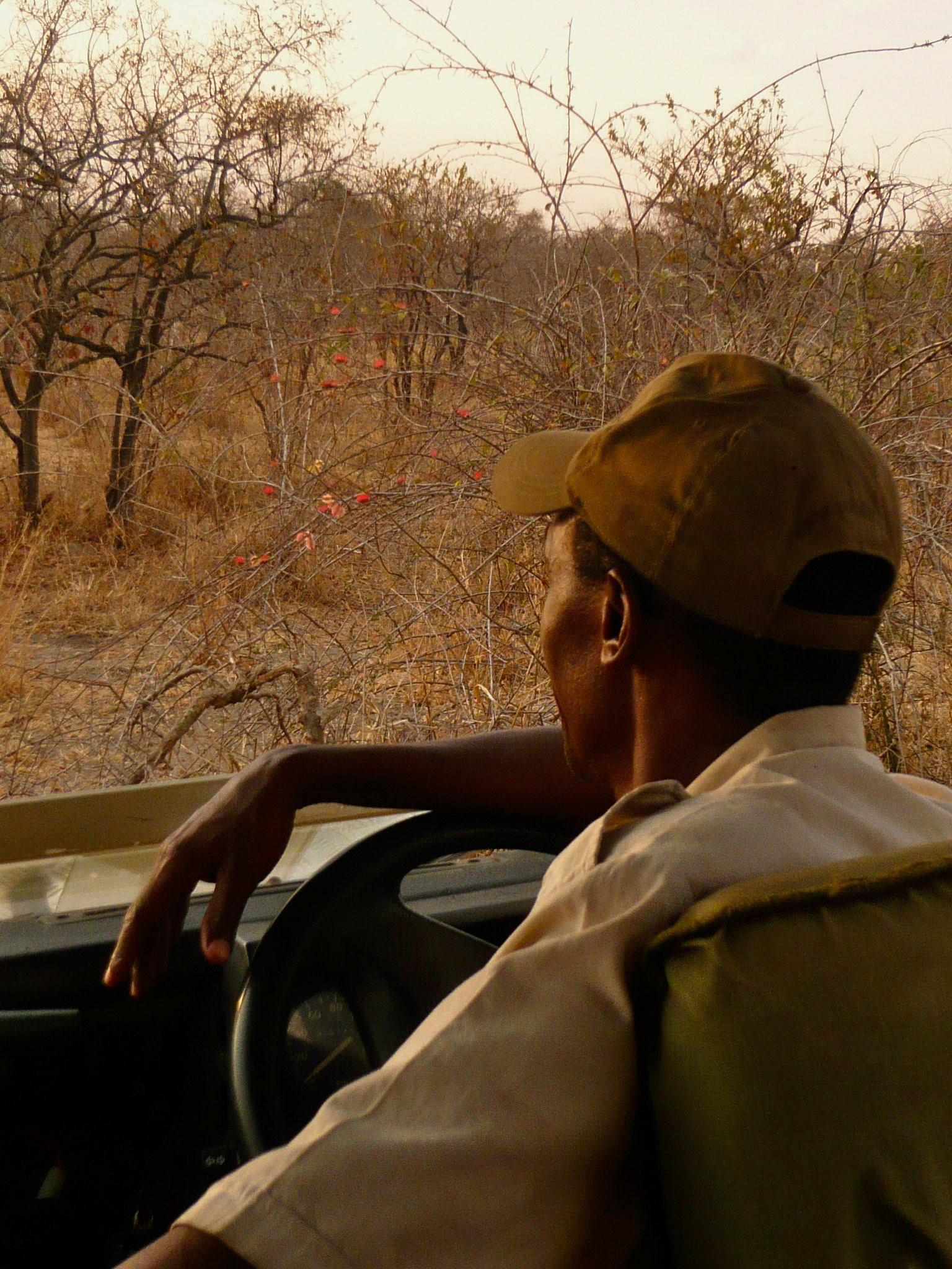Ruaha Jongomero Camp - 2