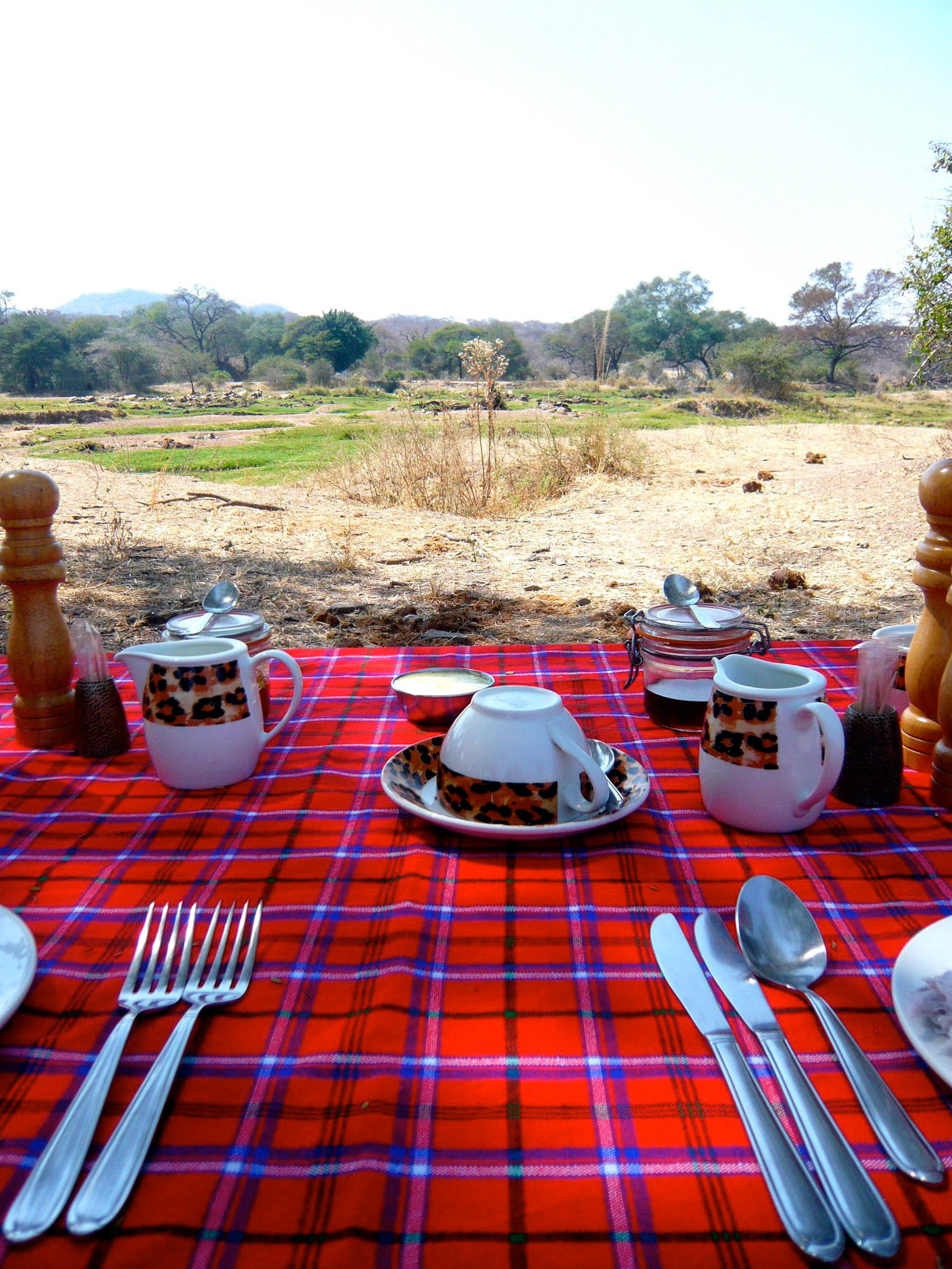 Ruaha Jongomero breakfast walking safari - 1