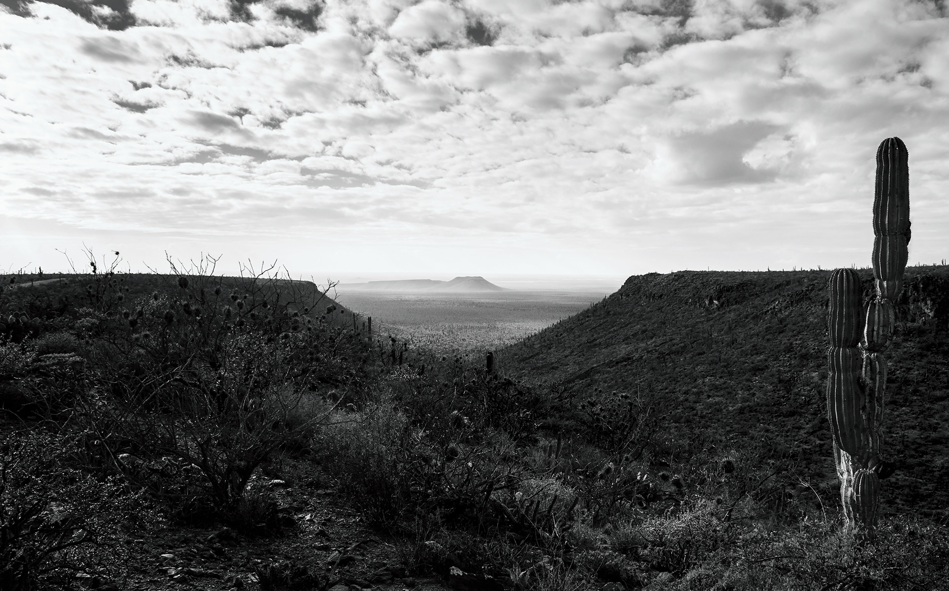 Protected areas play a pivotal role in the battle against climate change. But while new science says that to have a real hope of keeping it under the “danger zone” target of 1.5 degrees Celsius, 50 percent of all land should be kept in a natural state by 2030, most countries that have already committed to protecting 17 percent on land and 10 percent of the oceans by 2020 under the Convention on Biological Diversity are not on target to meet these goals.