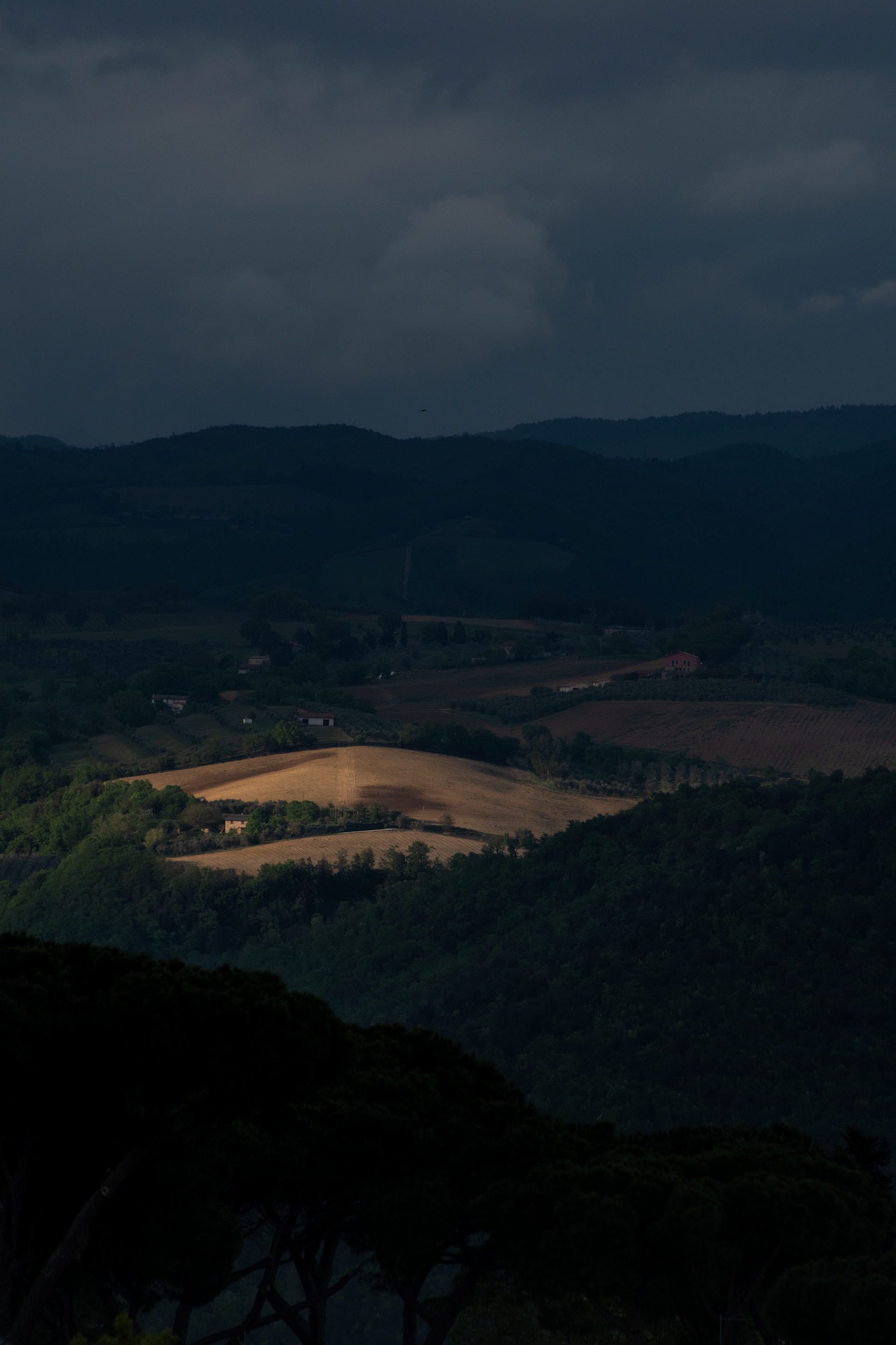 Tilled fields in the countryside