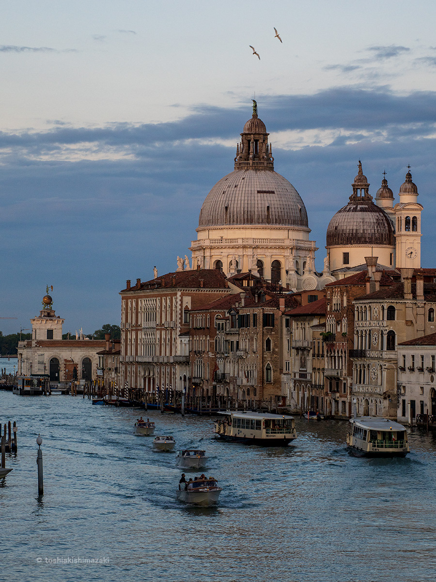 View of Santa Maria della Salute