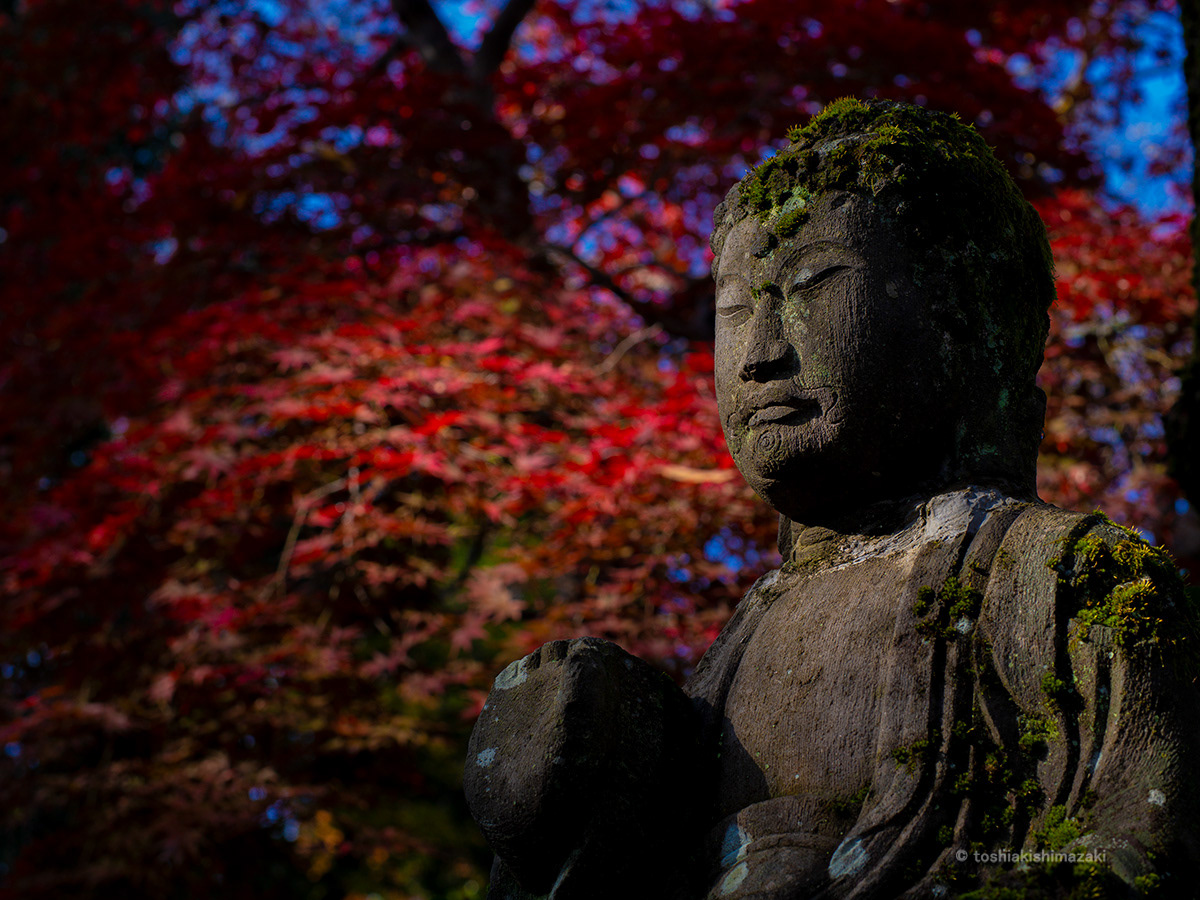 Shakyamuni Buddha Statue