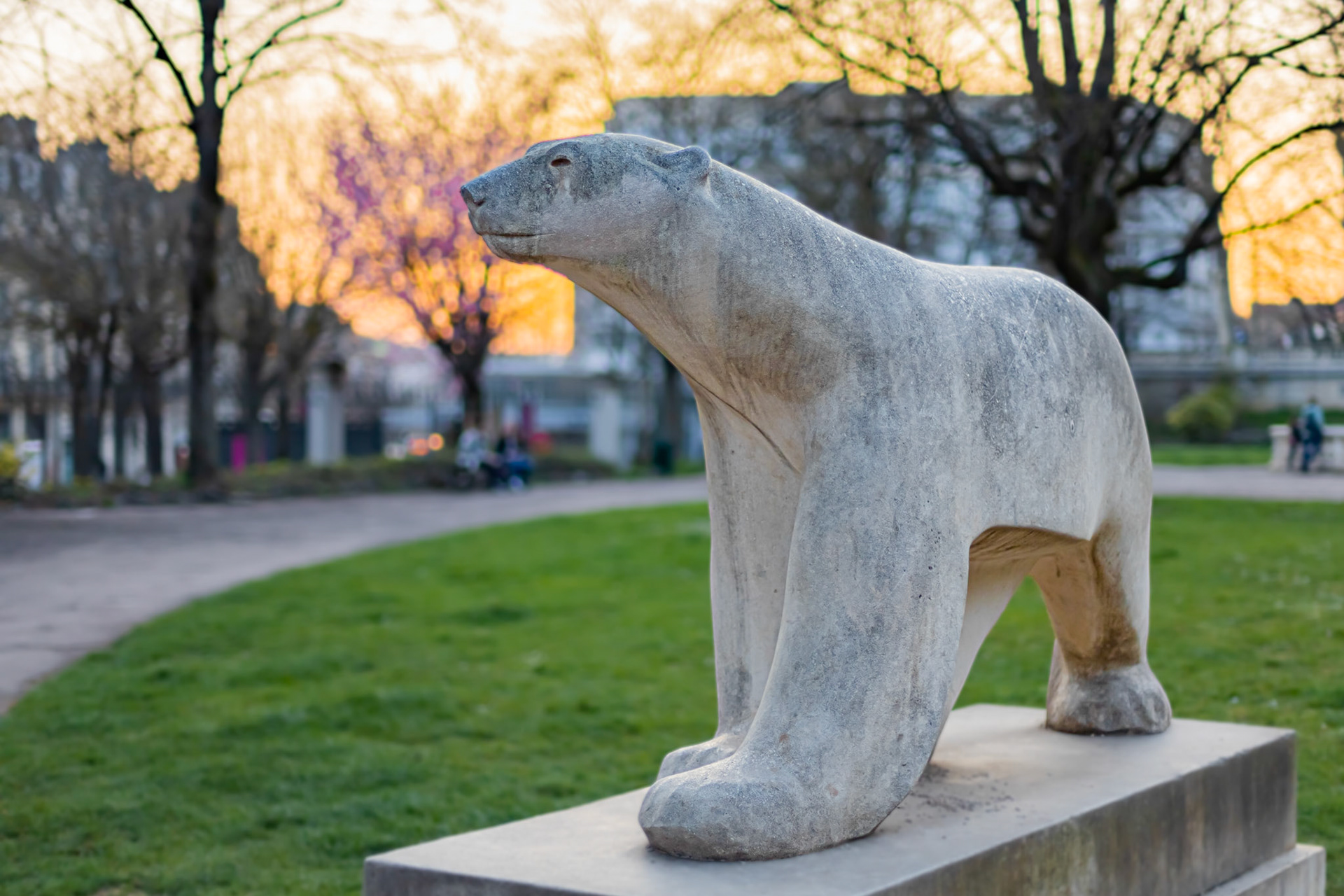 La sculpture de l'ours Pompon le nez dans un arbre en fleur au coucher de soleil au printemps.