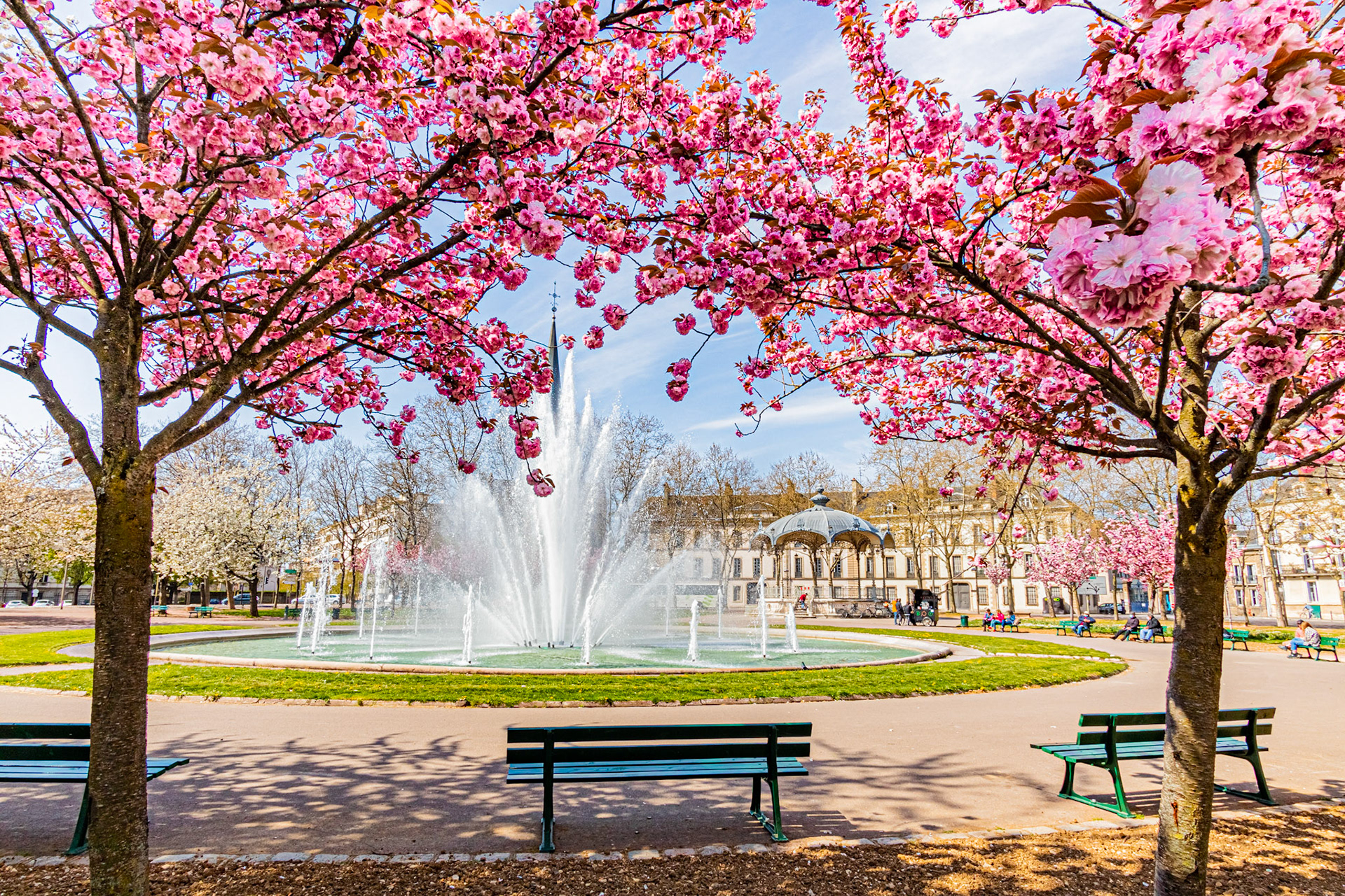 La place Wilson aux couleurs du printemps et ses cerisiers japonais en fleur.
