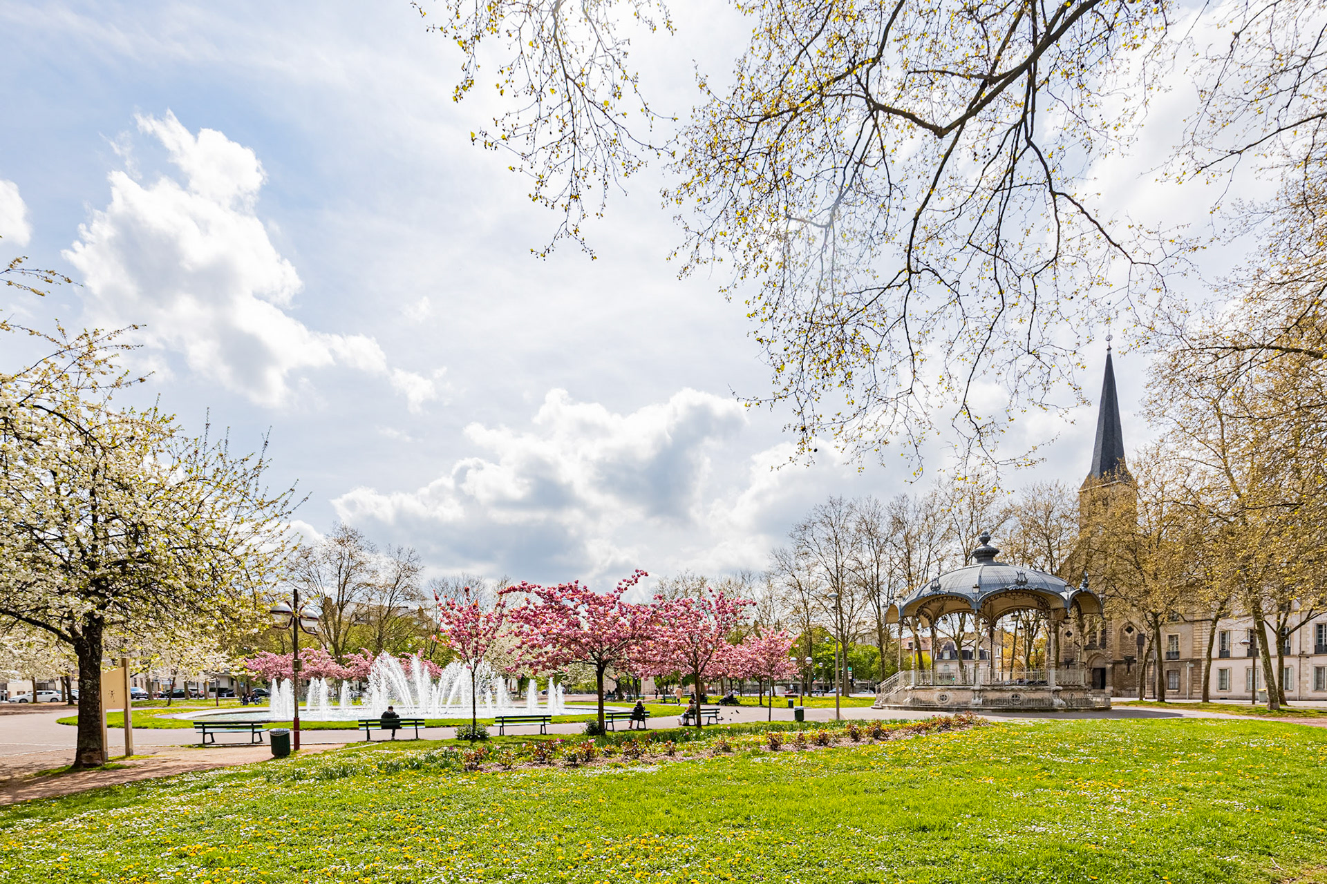 La place Wilson à Dijon aux couleurs du printemps et ses cerisiers japonais en fleur. La fontaine, le Kiosque, les bancs publics. Eglise Saint-Pierrre de Dijon.