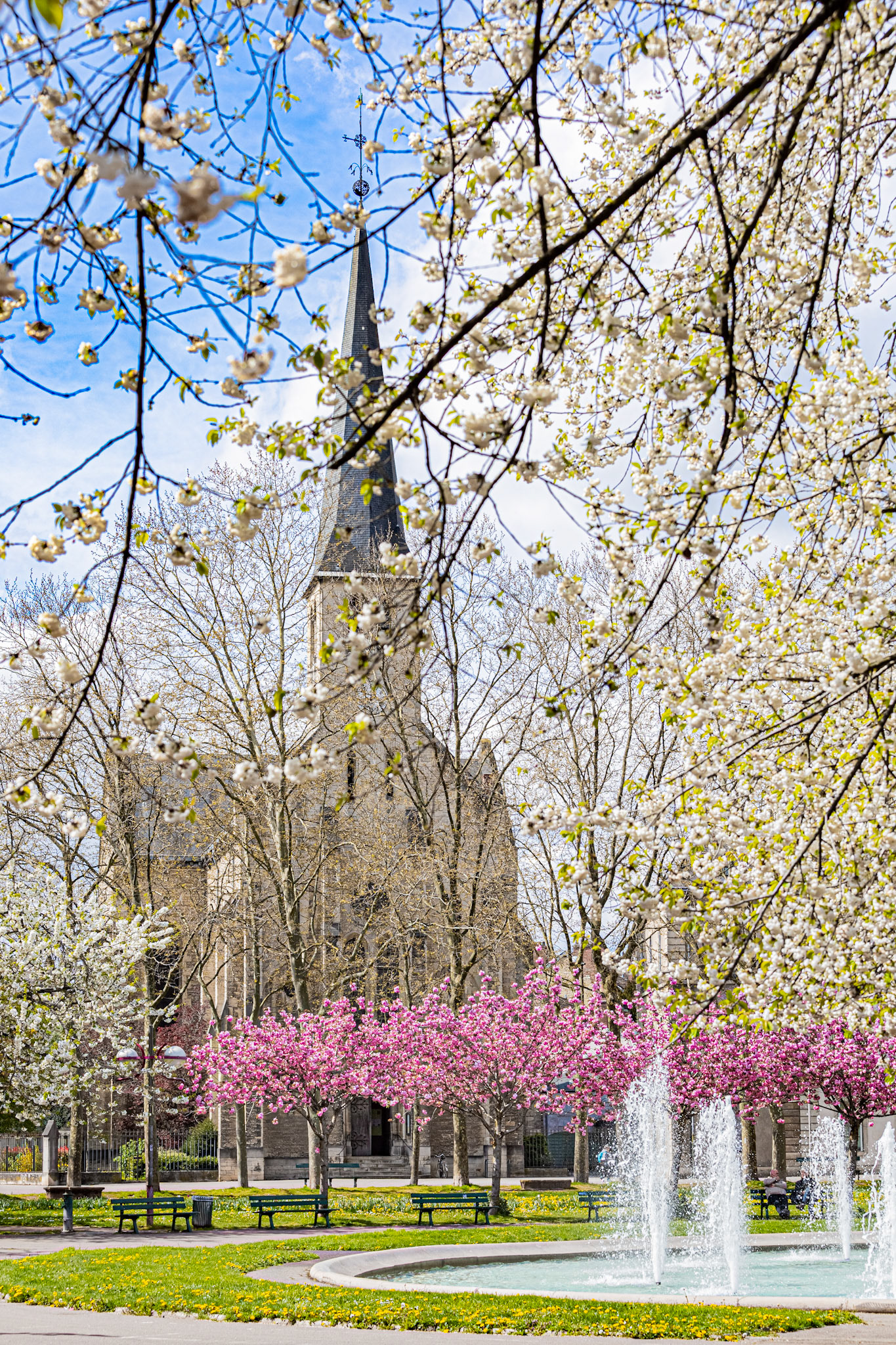 La place Wilson aux couleurs du printemps et ses cerisiers japonais en fleur.