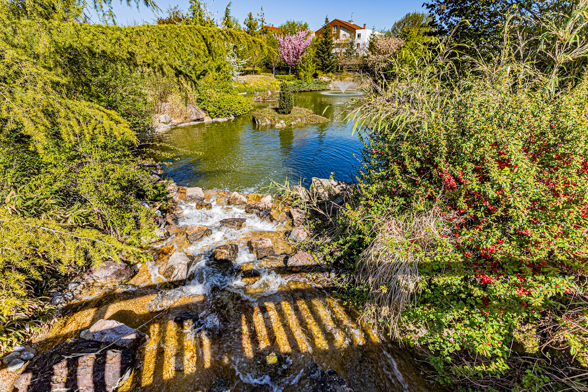 Le jardin japonais à Dijon aux couleurs du printemps.