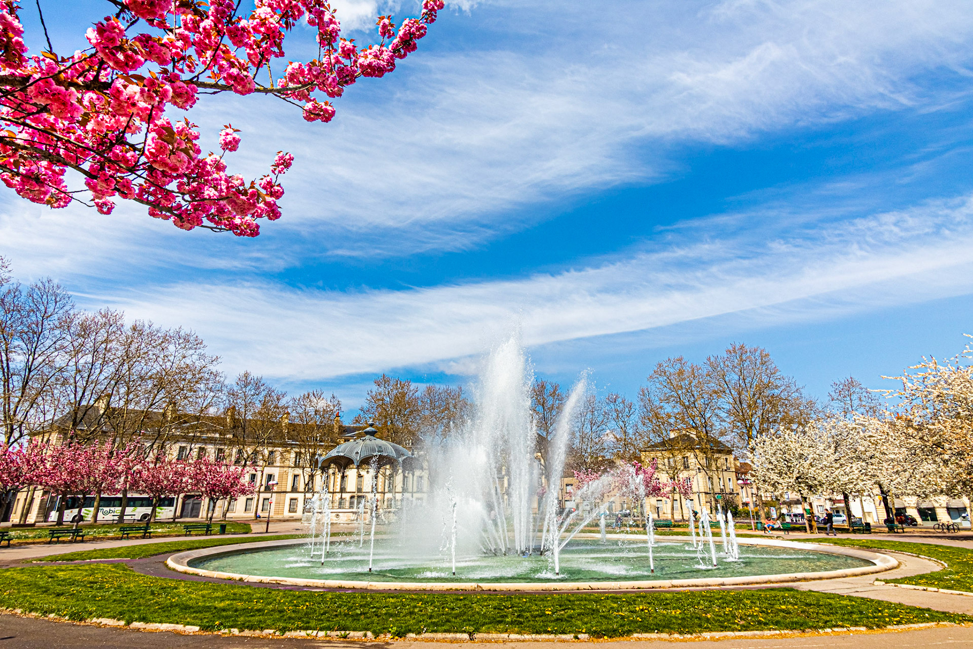 La place Wilson aux couleurs du printemps et ses cerisiers japonais en fleur.