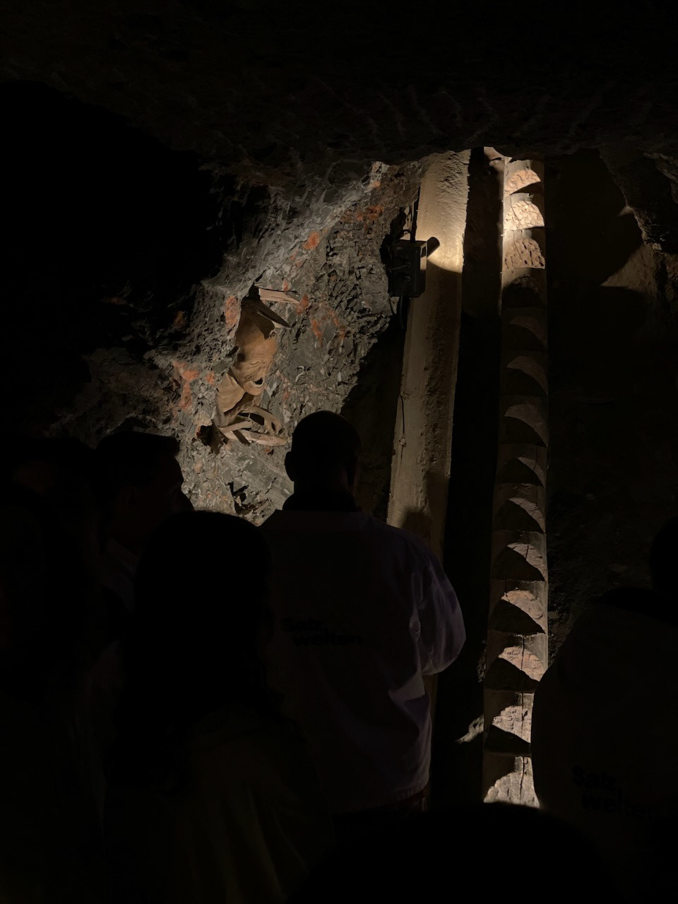 Mummified Remains in the Mine