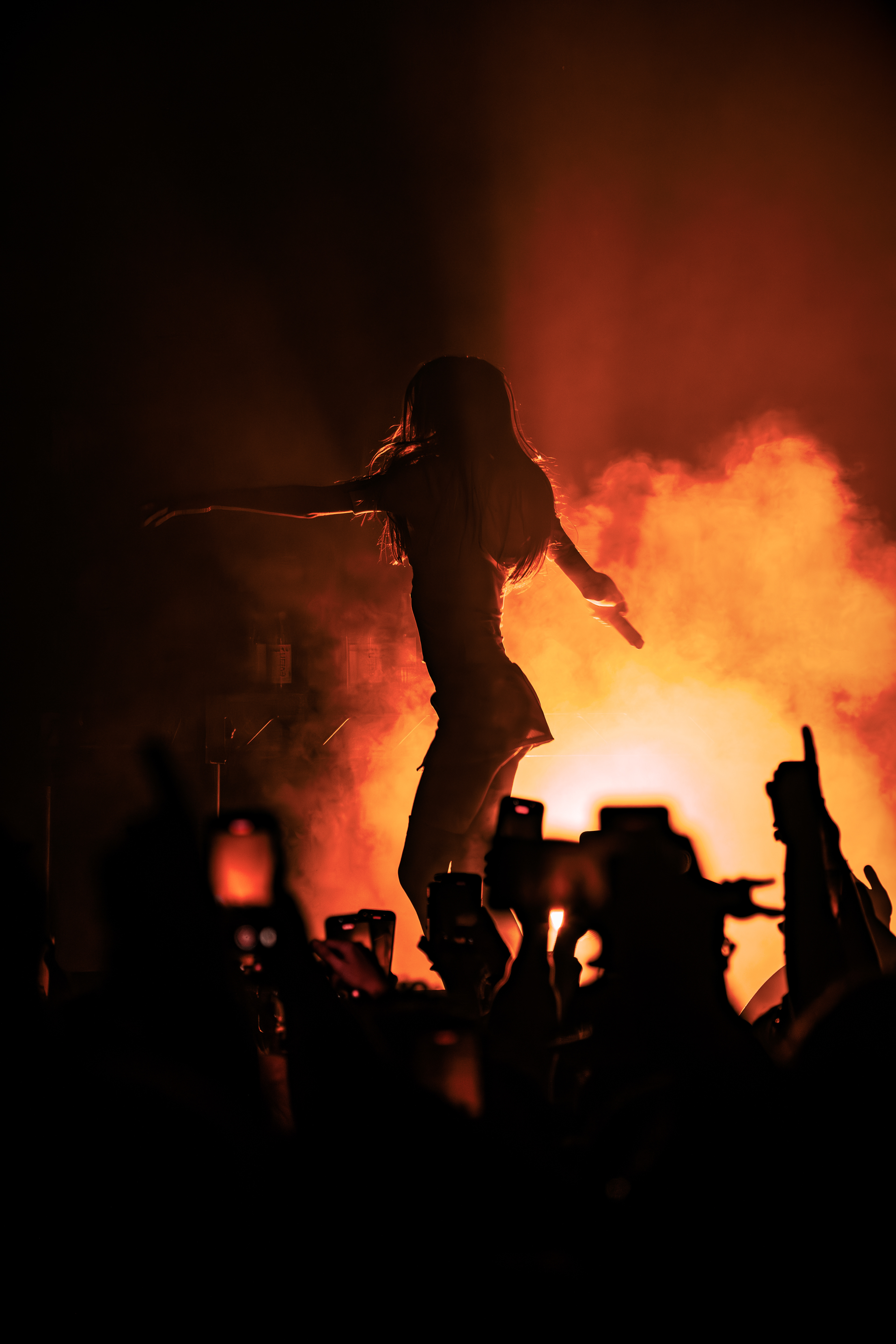 Snow Strippers Before I Crash Out Tour