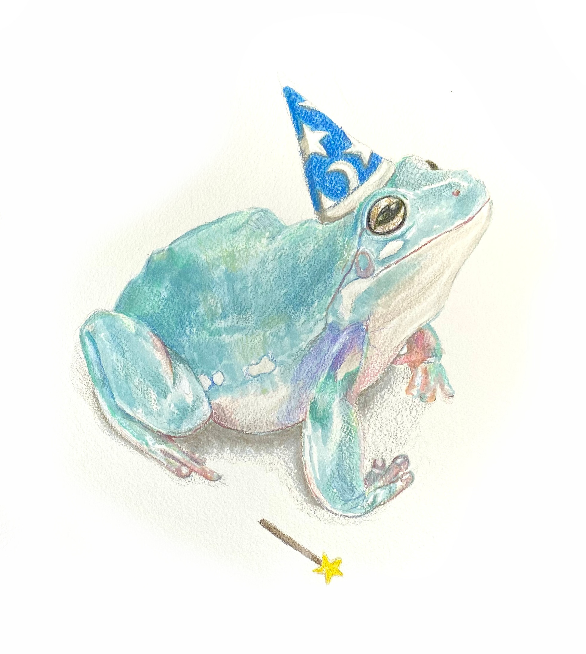 Wizard Frog, coloured pencil