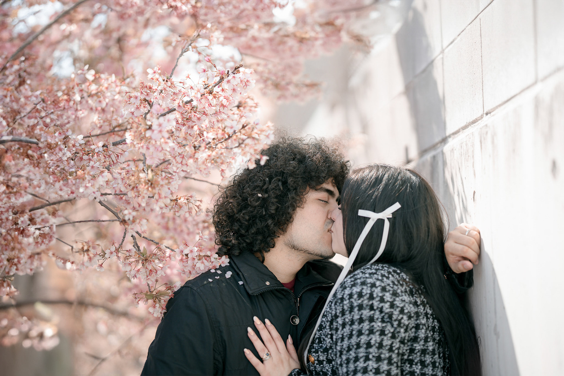 Sakura River (High Noon)