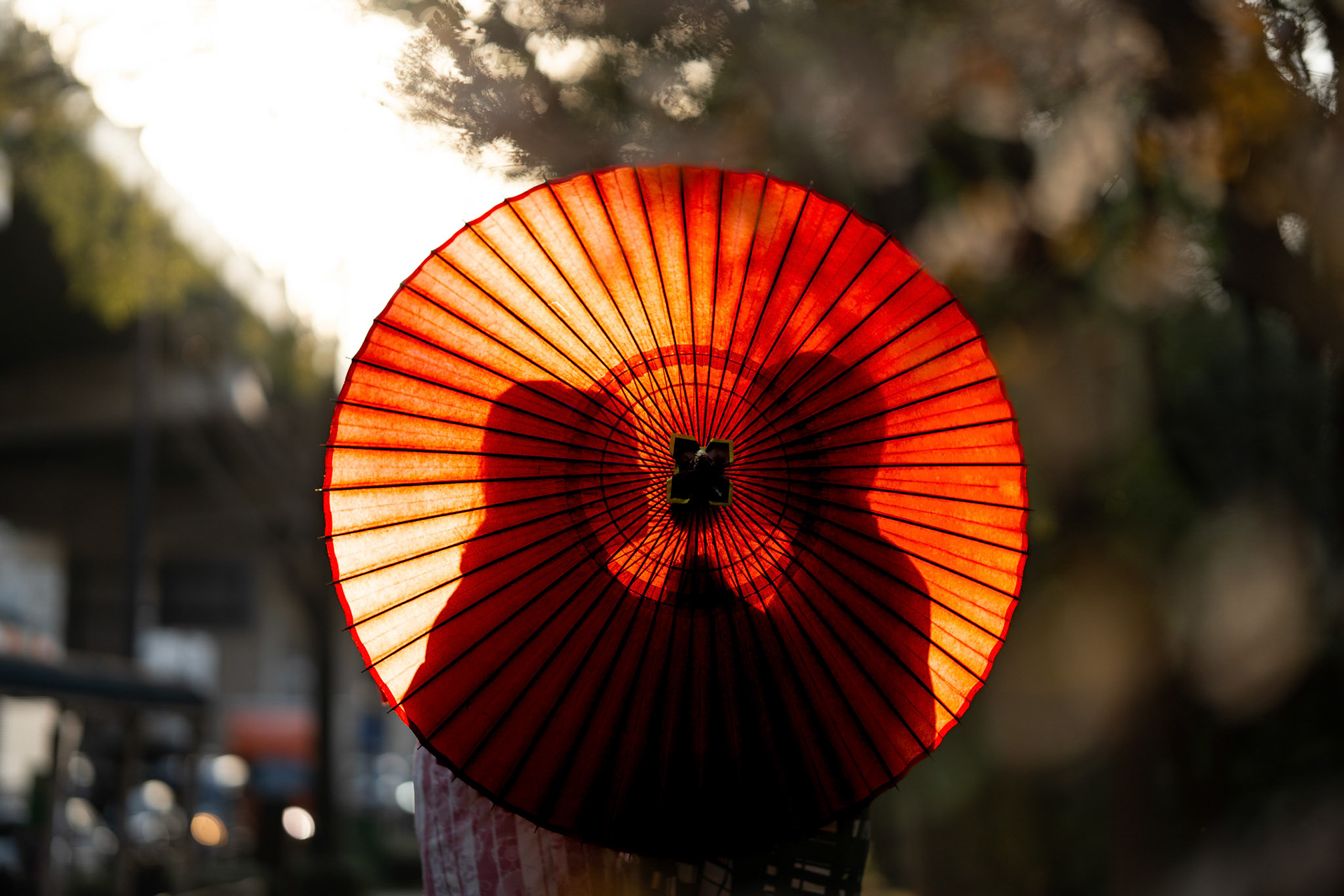 Osaka Castle (April sunset)