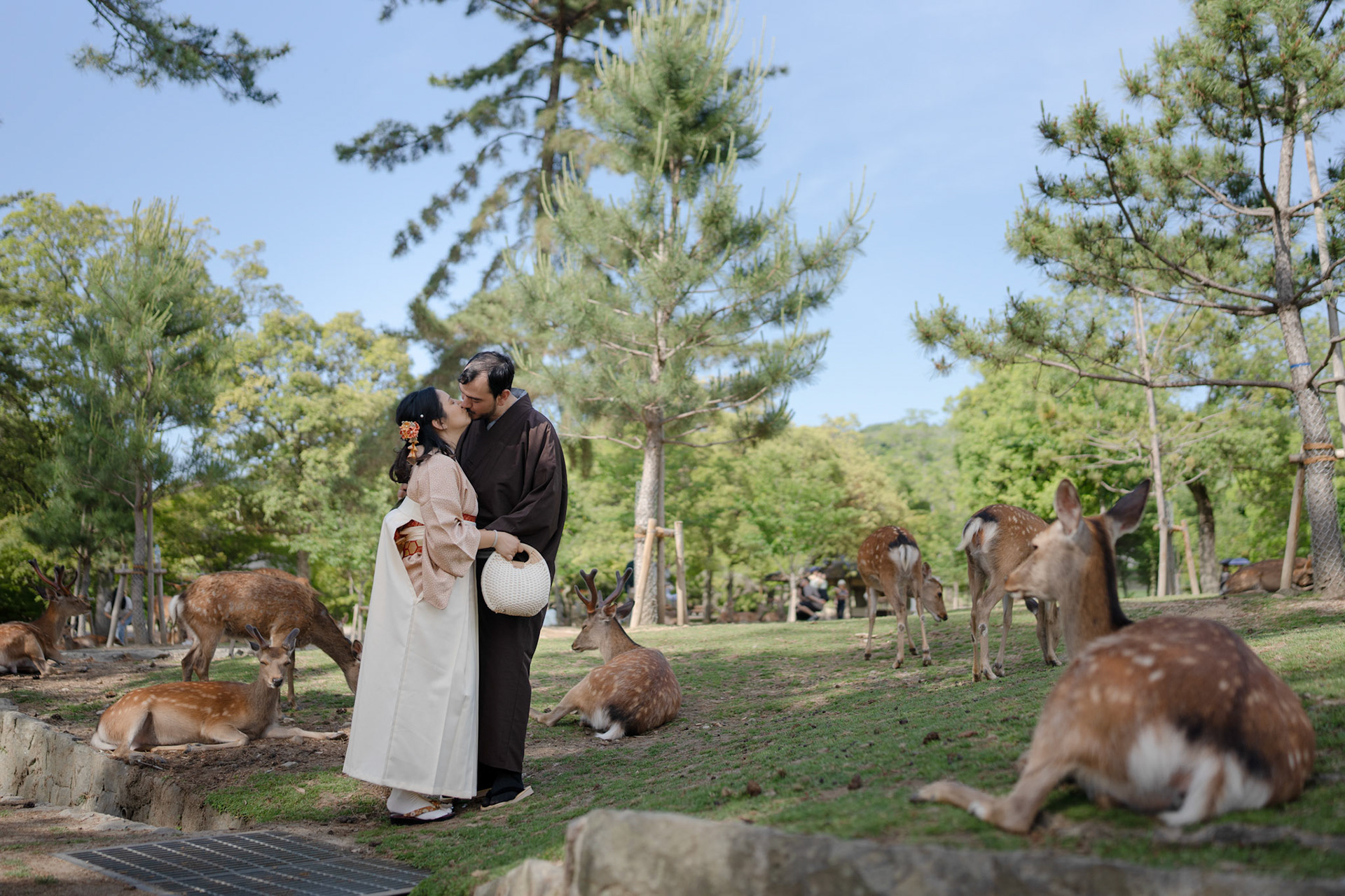 Nara Park (May - 2PM)