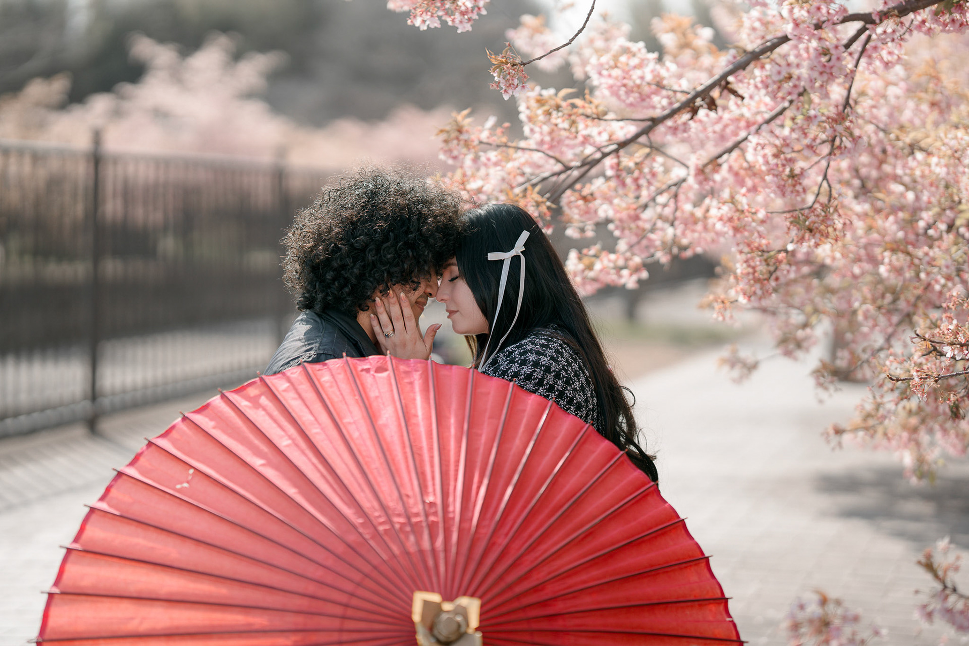 Sakura River (High Noon)