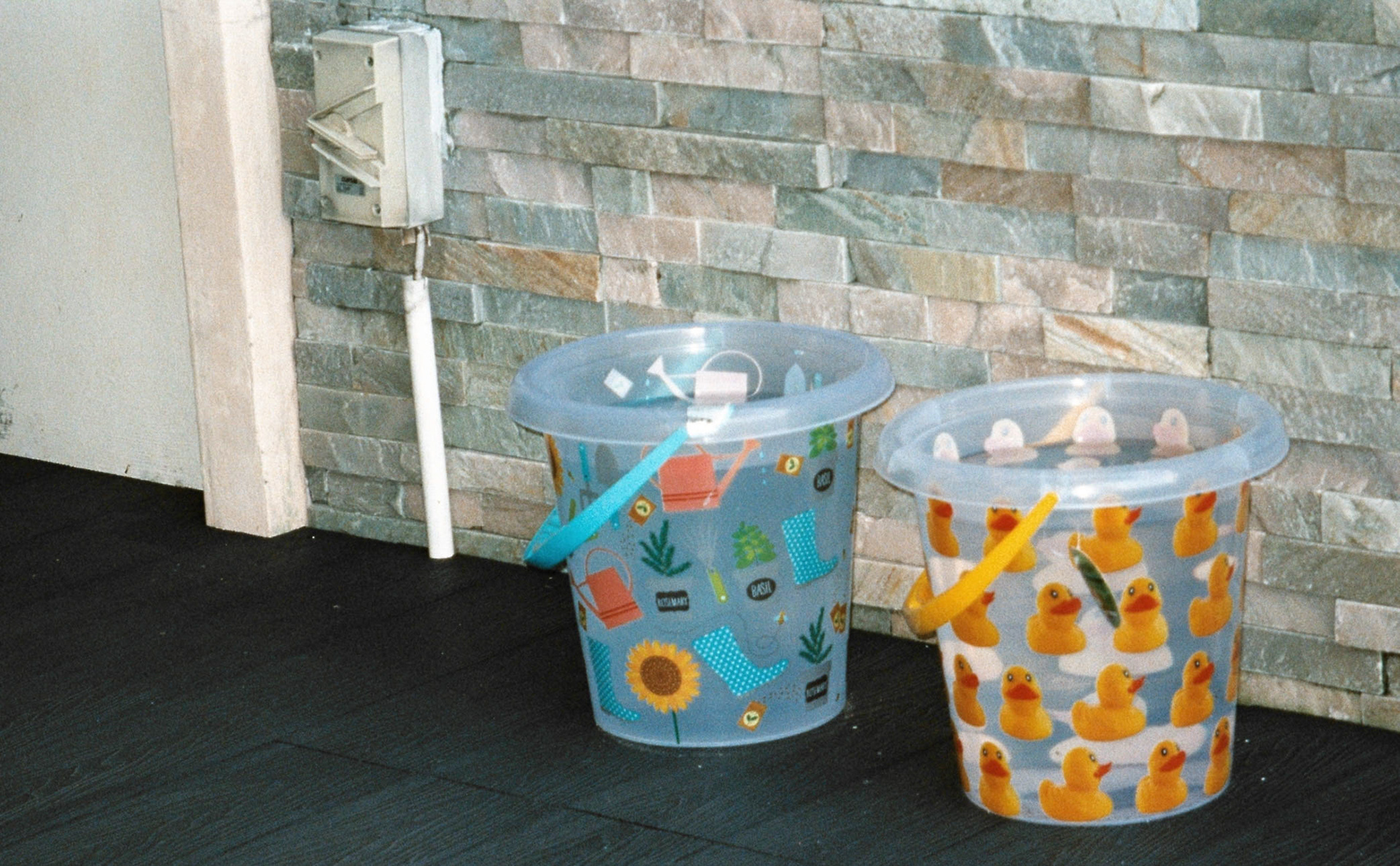 Chewy said the duck pail looks really cute