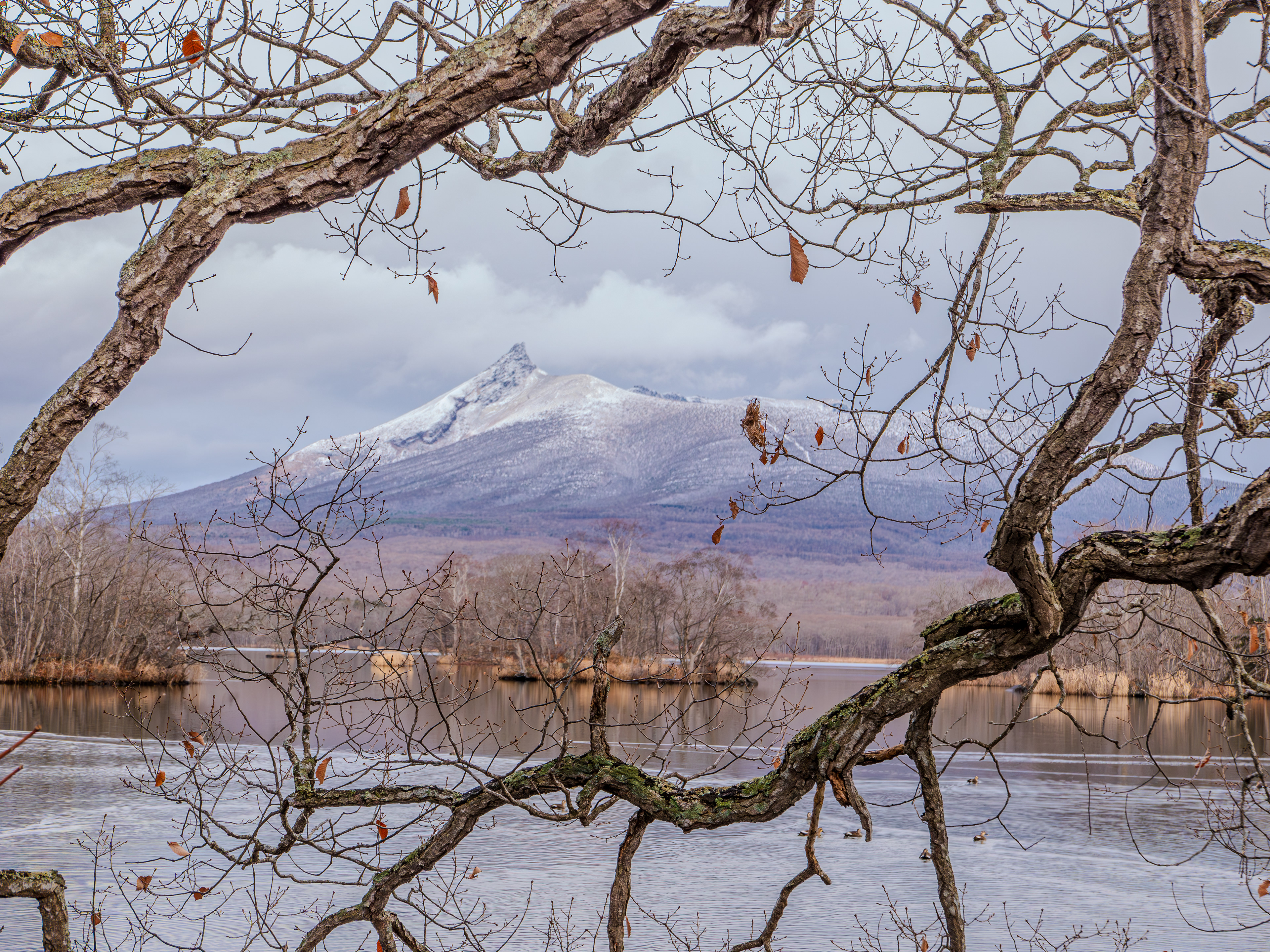 Hokkaido Koma-ga-take -  北海道駒ヶ岳
