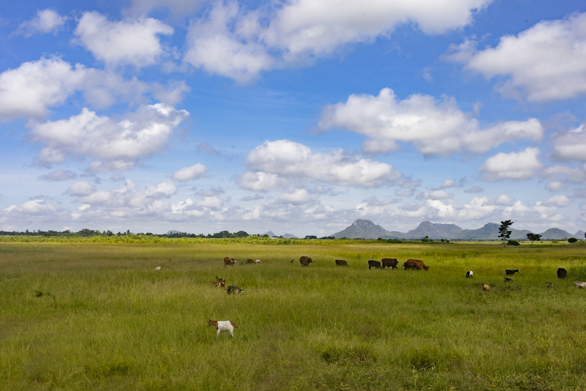Mulanje, Malawi (2022)