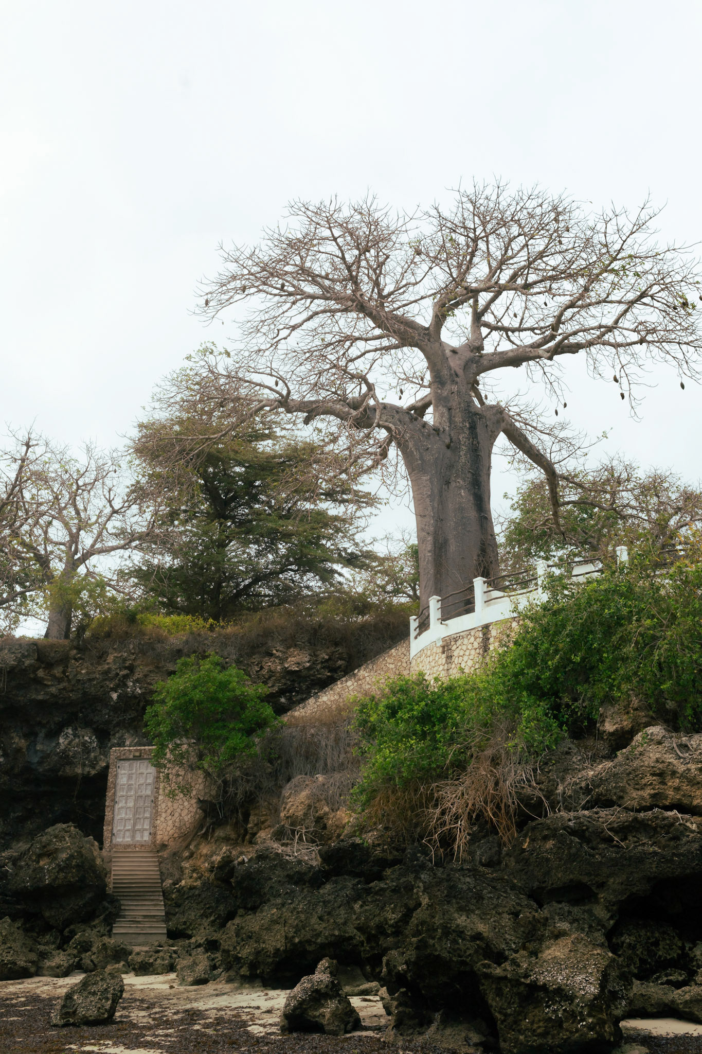 Mnarani, Kenya (2022)