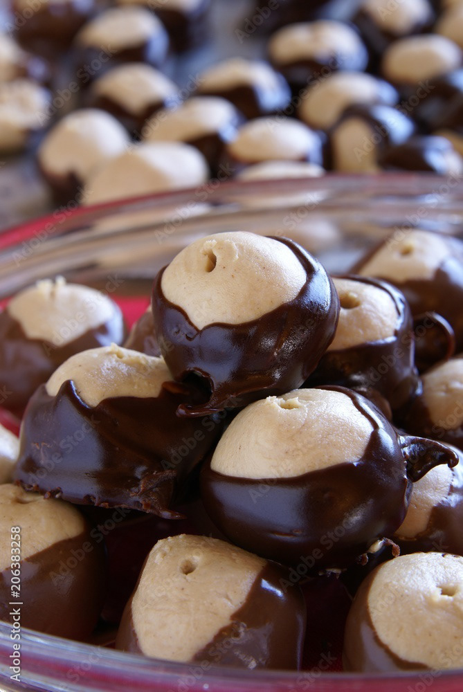 Buckeye Candy Vertical