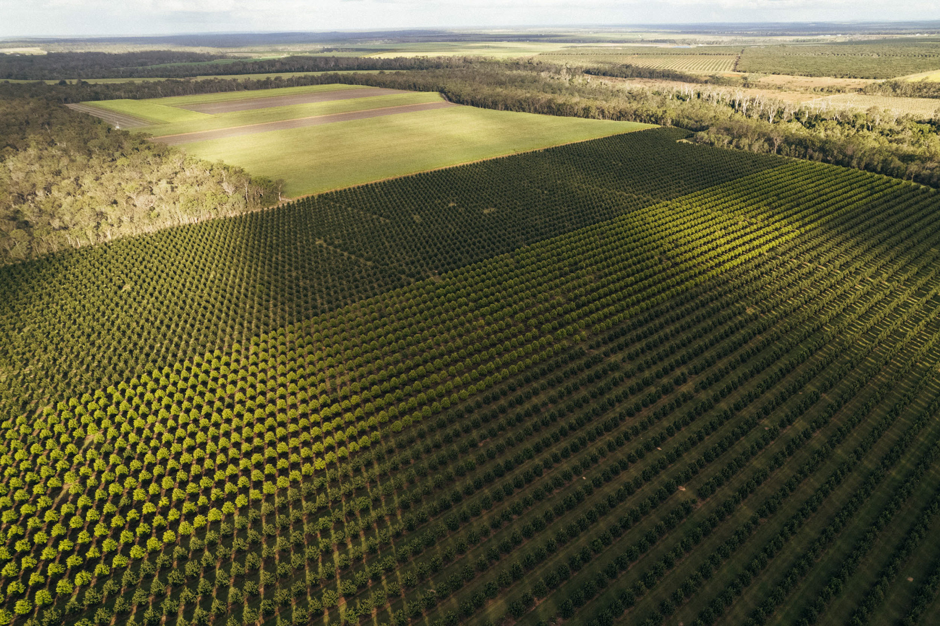 Bundaberg