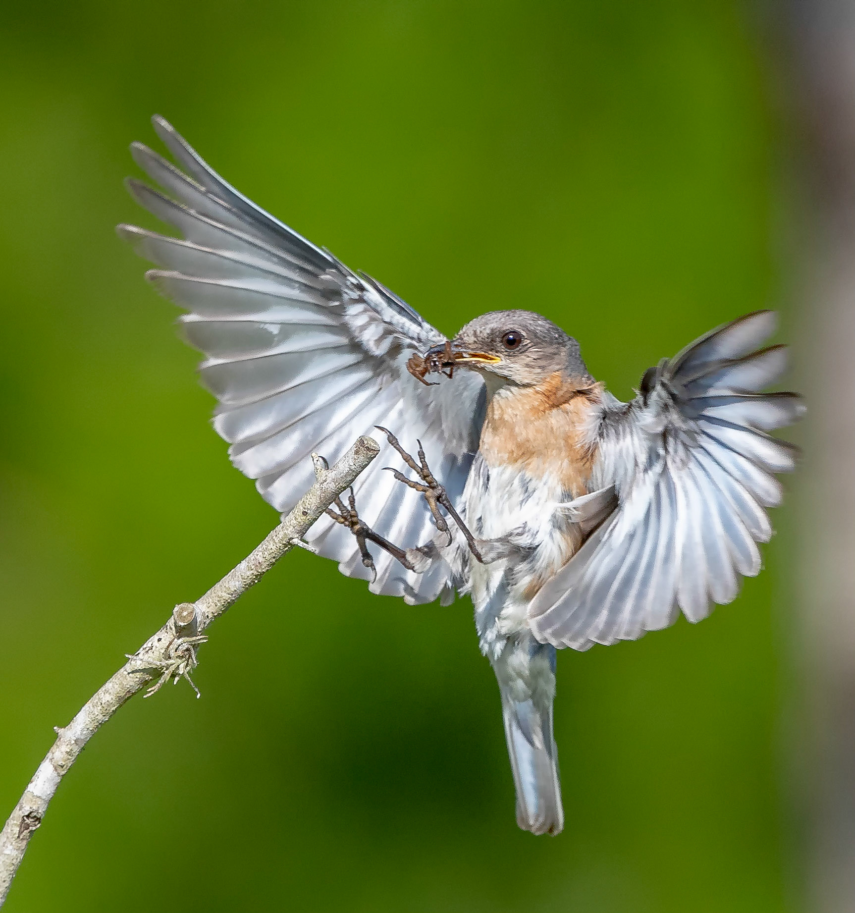 Winner Magazine Cover PREC 