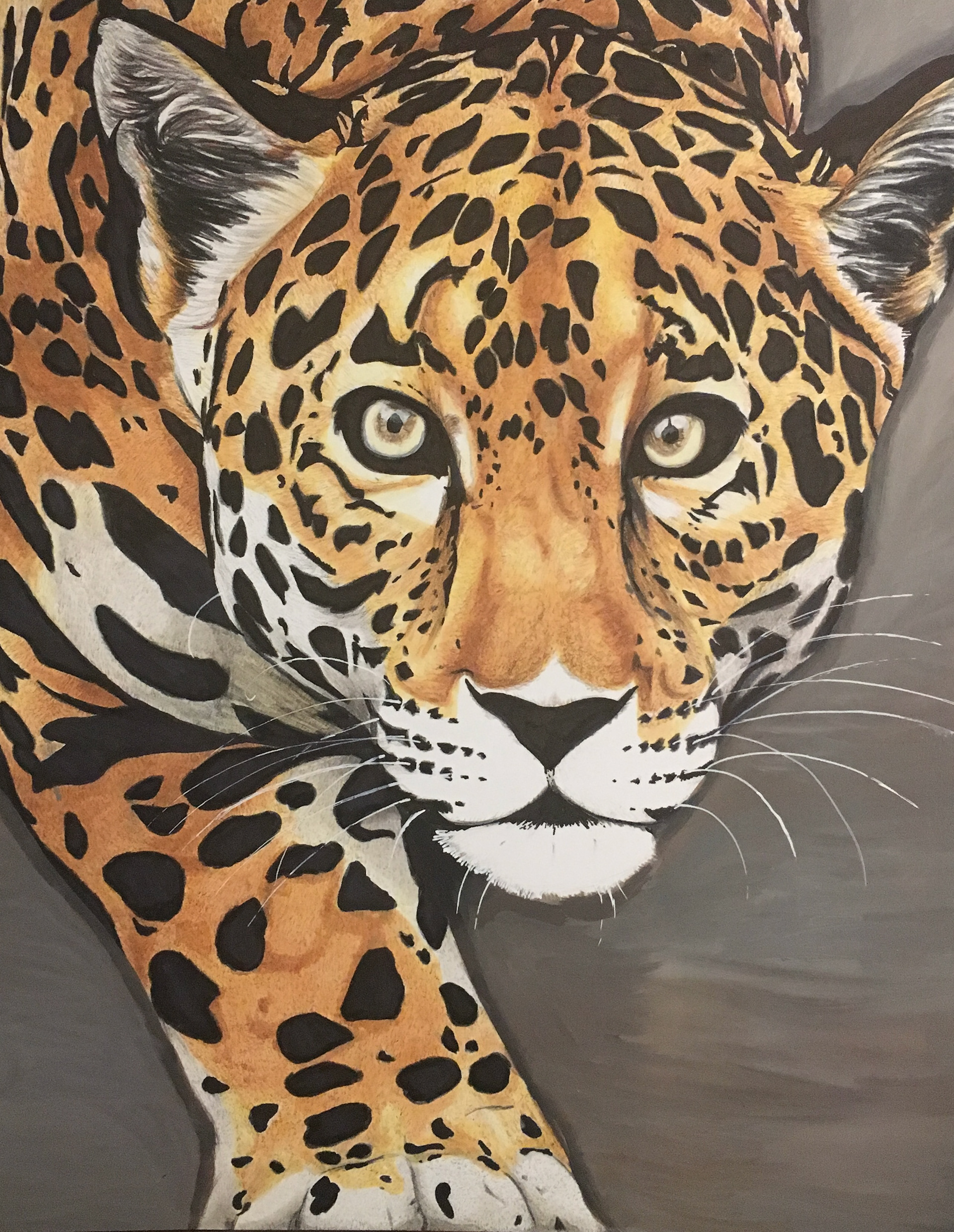 Jaguar - Copic Marker, Pencil Crayon, Acrylic