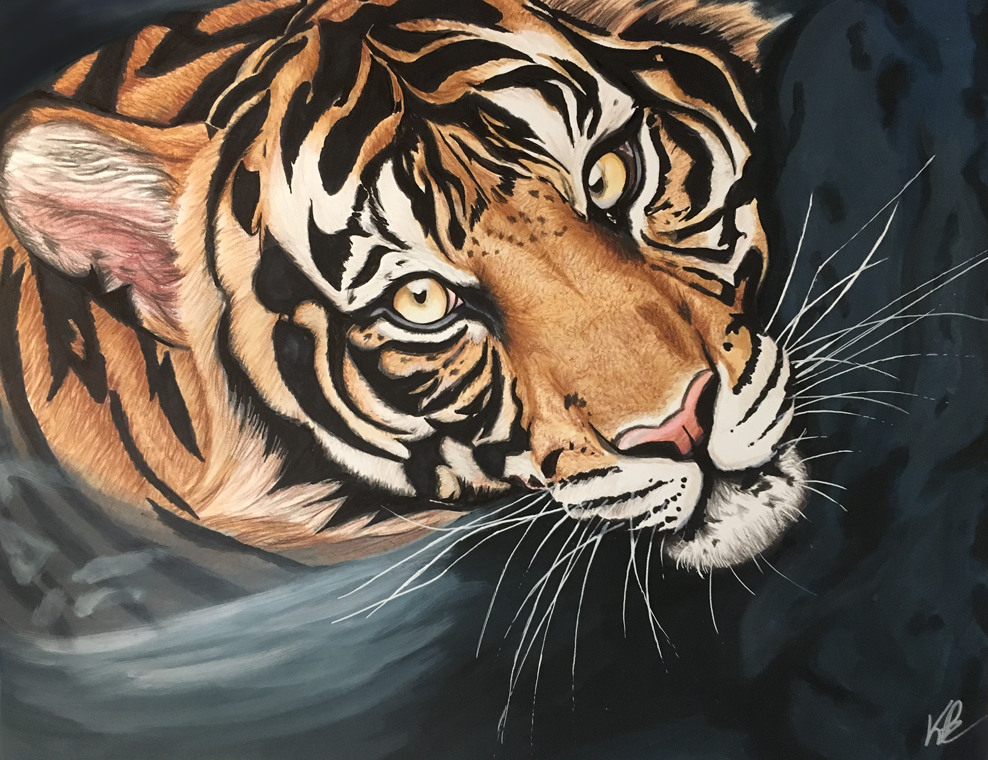 Tiger - Copic Marker, Pencil Crayon, Acrylic