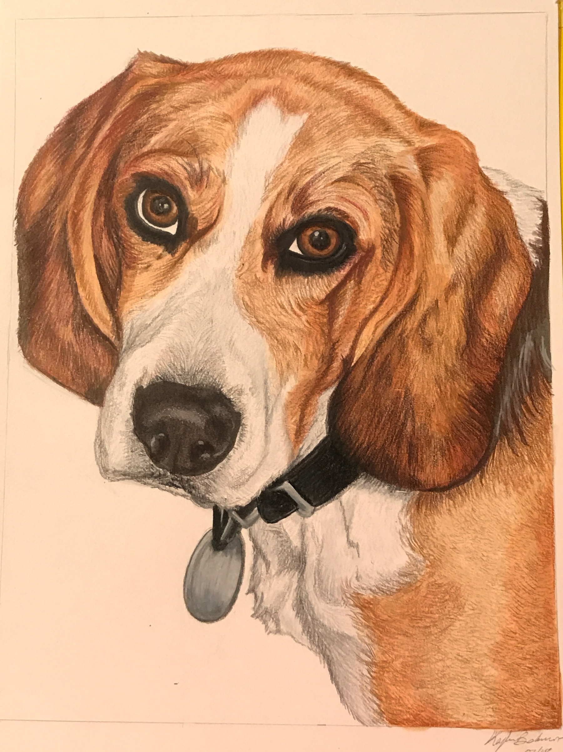 Beagle - Copic Marker & Pencil Crayon
