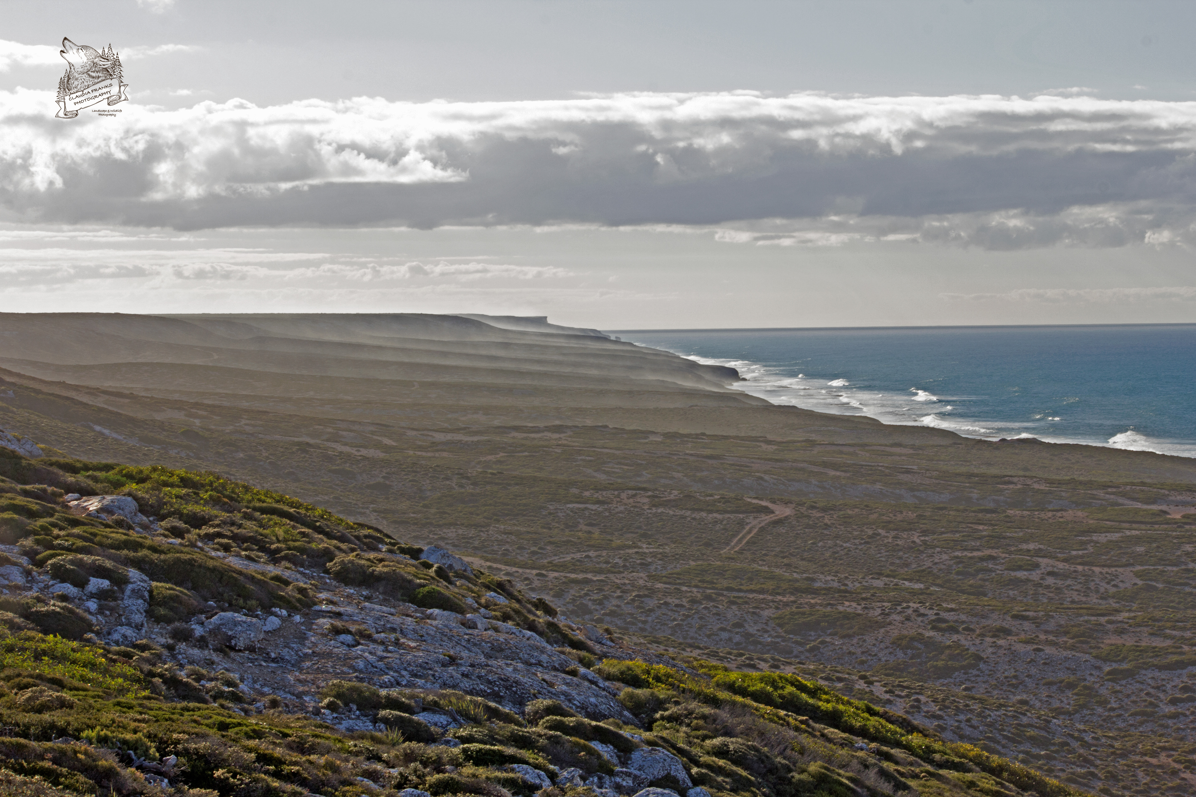 Ocean Meets Land - BC17