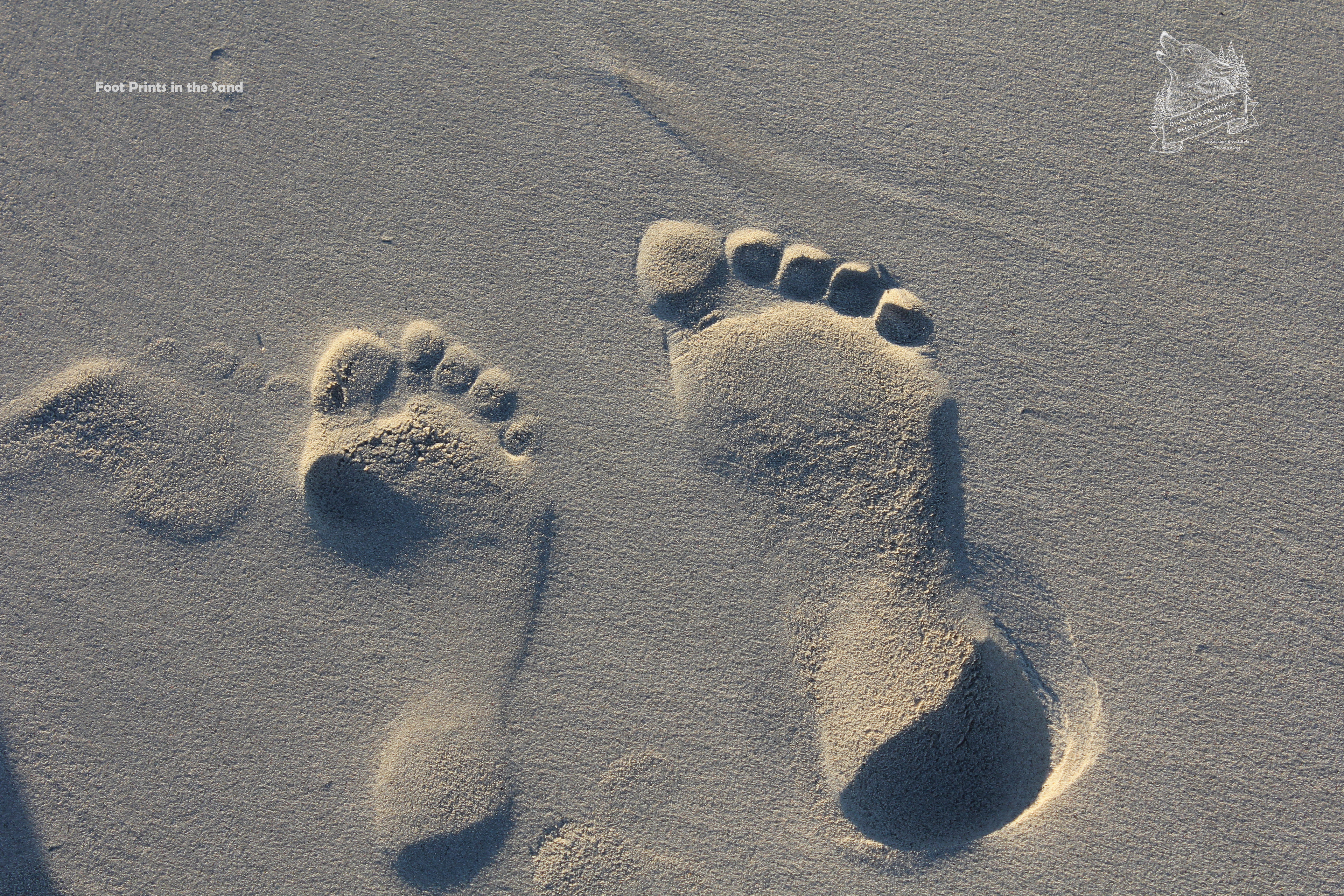 Foot Prints in the Sand - BC9