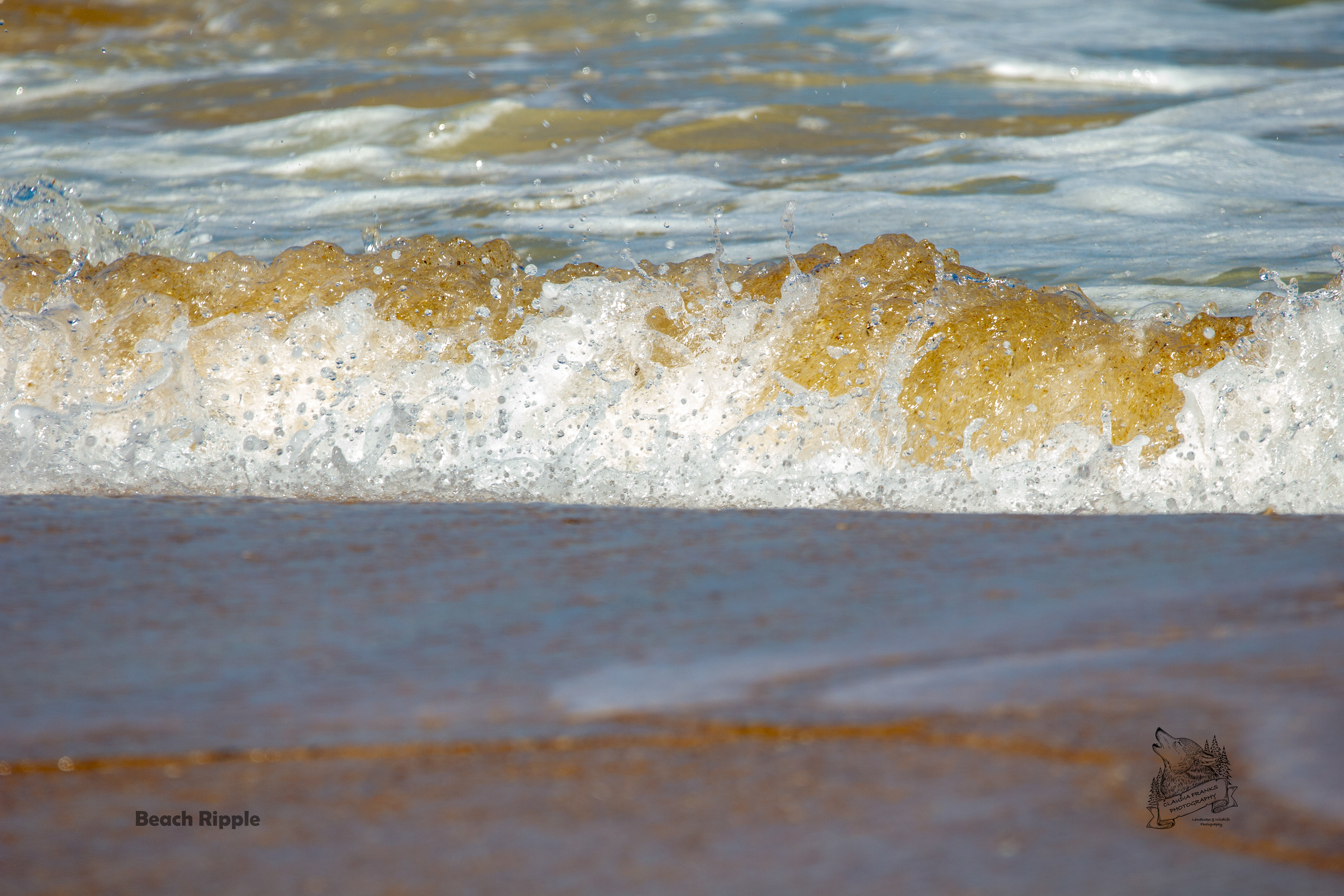 Beach Ripple - BC3