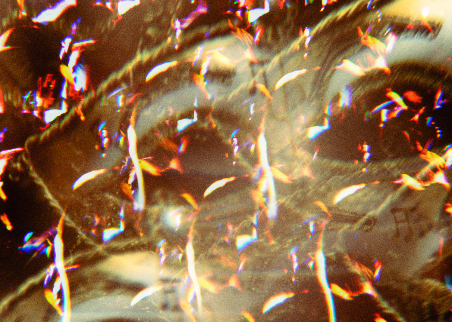 Le Manifeste