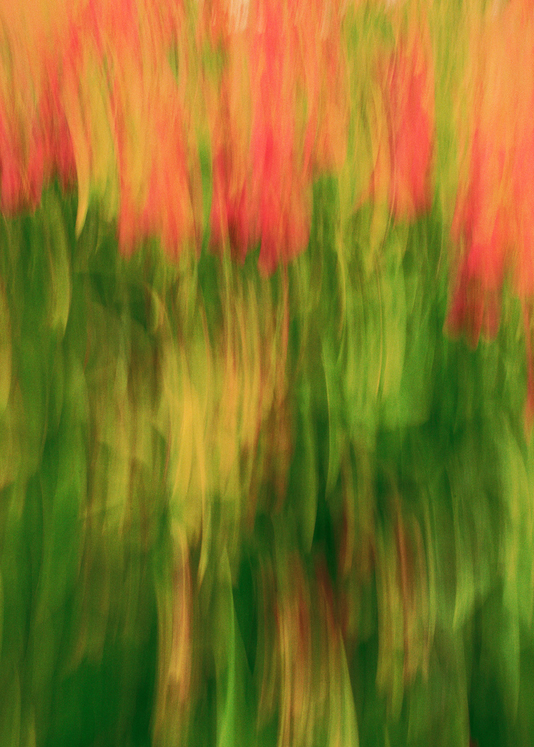 Le Manifeste