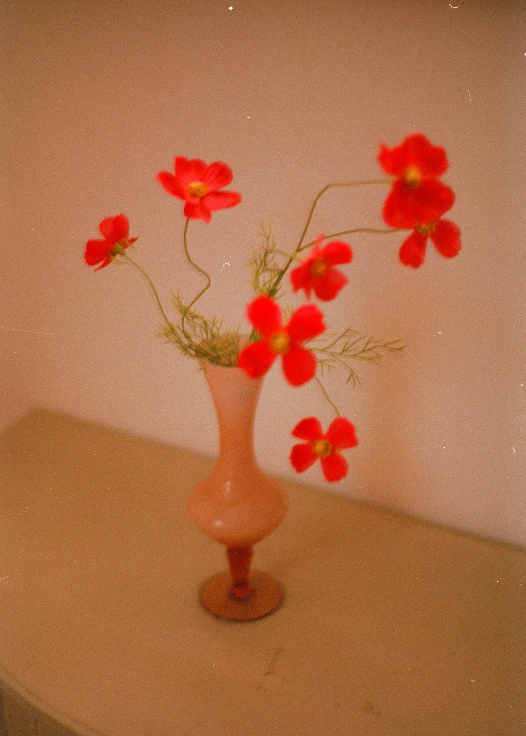 Camille Grelaud