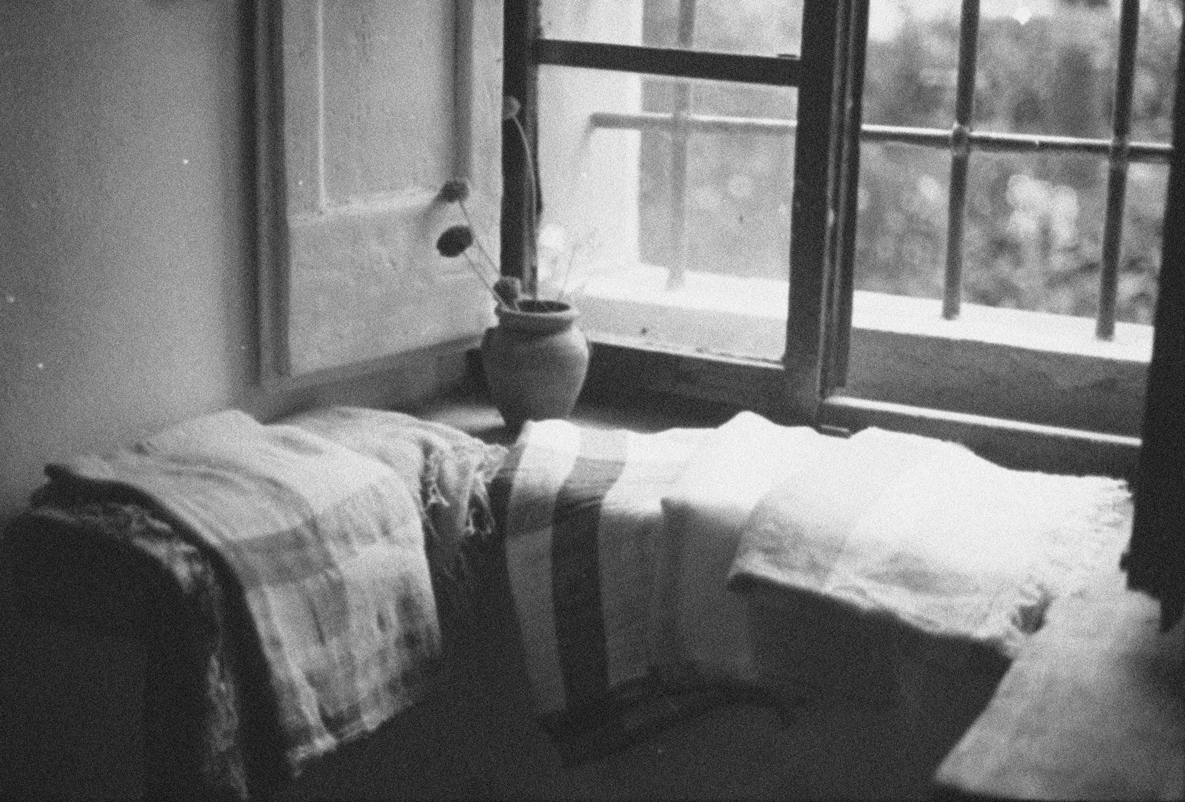 Camille Grelaud