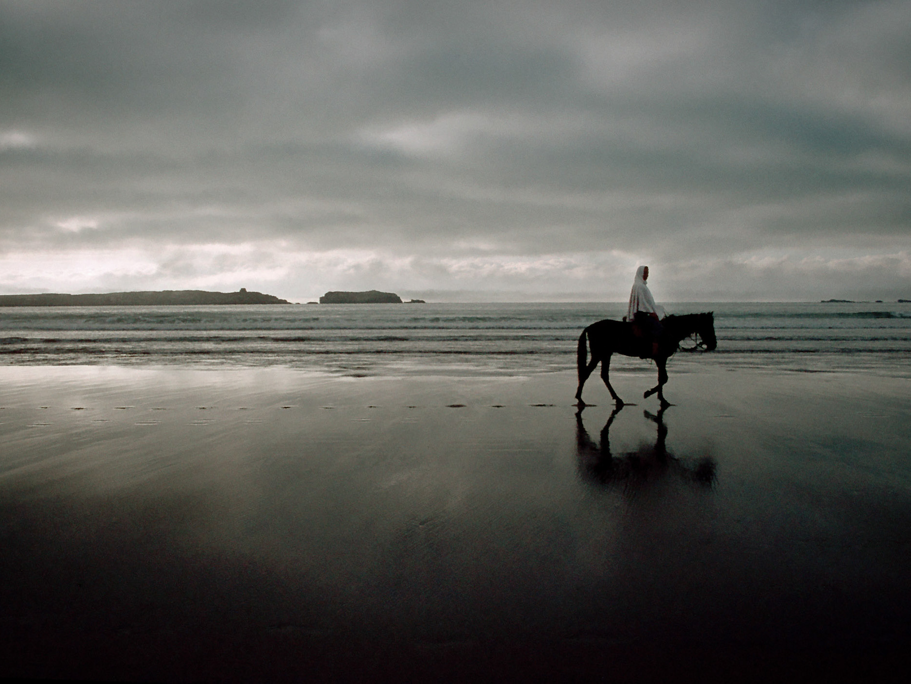 CATALINA GUEVARA, image size:1877x1408