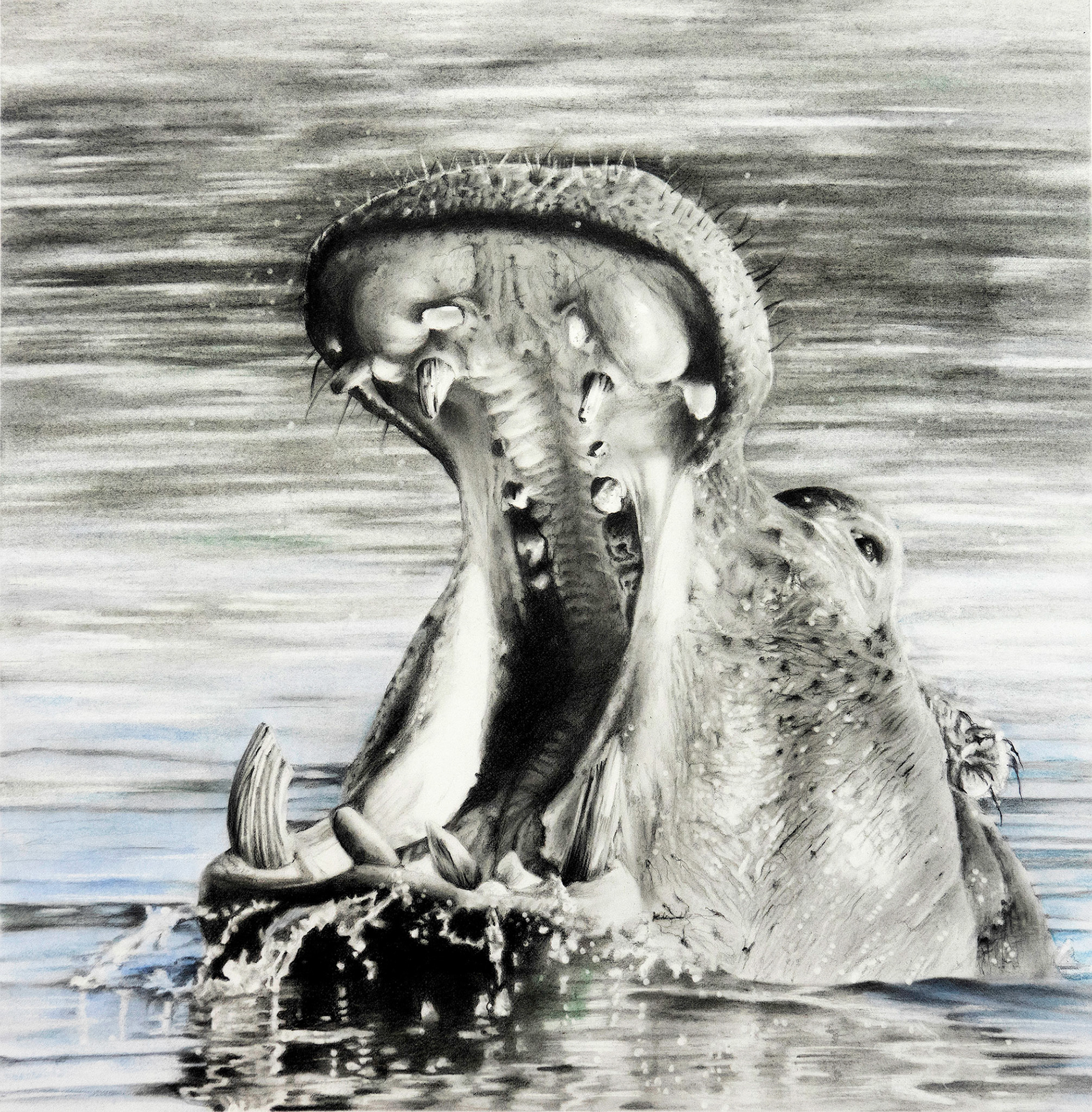 DO YOU LIKE MY SMILE? graphite and coloured pencil