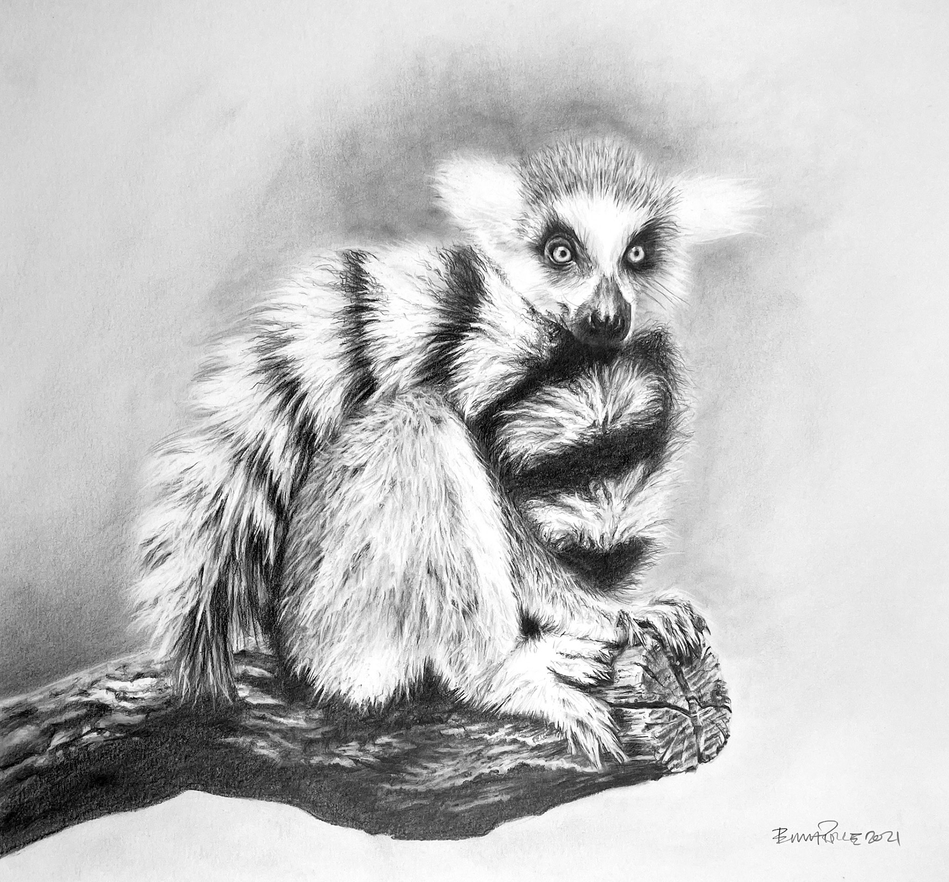 CLOSE TO THE EDGE . graphite