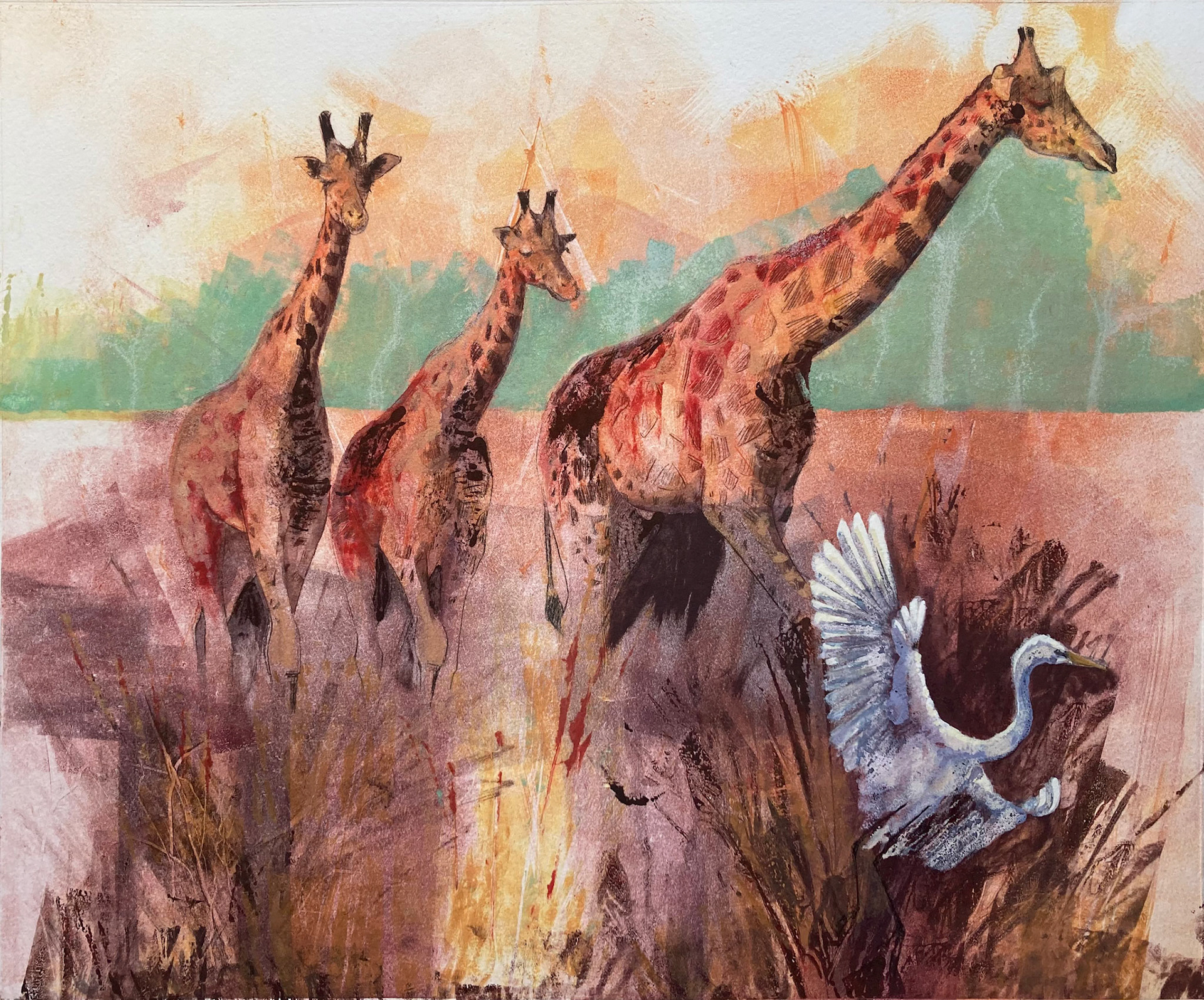 JOURNEYS THROUGH THE HEARTLAND