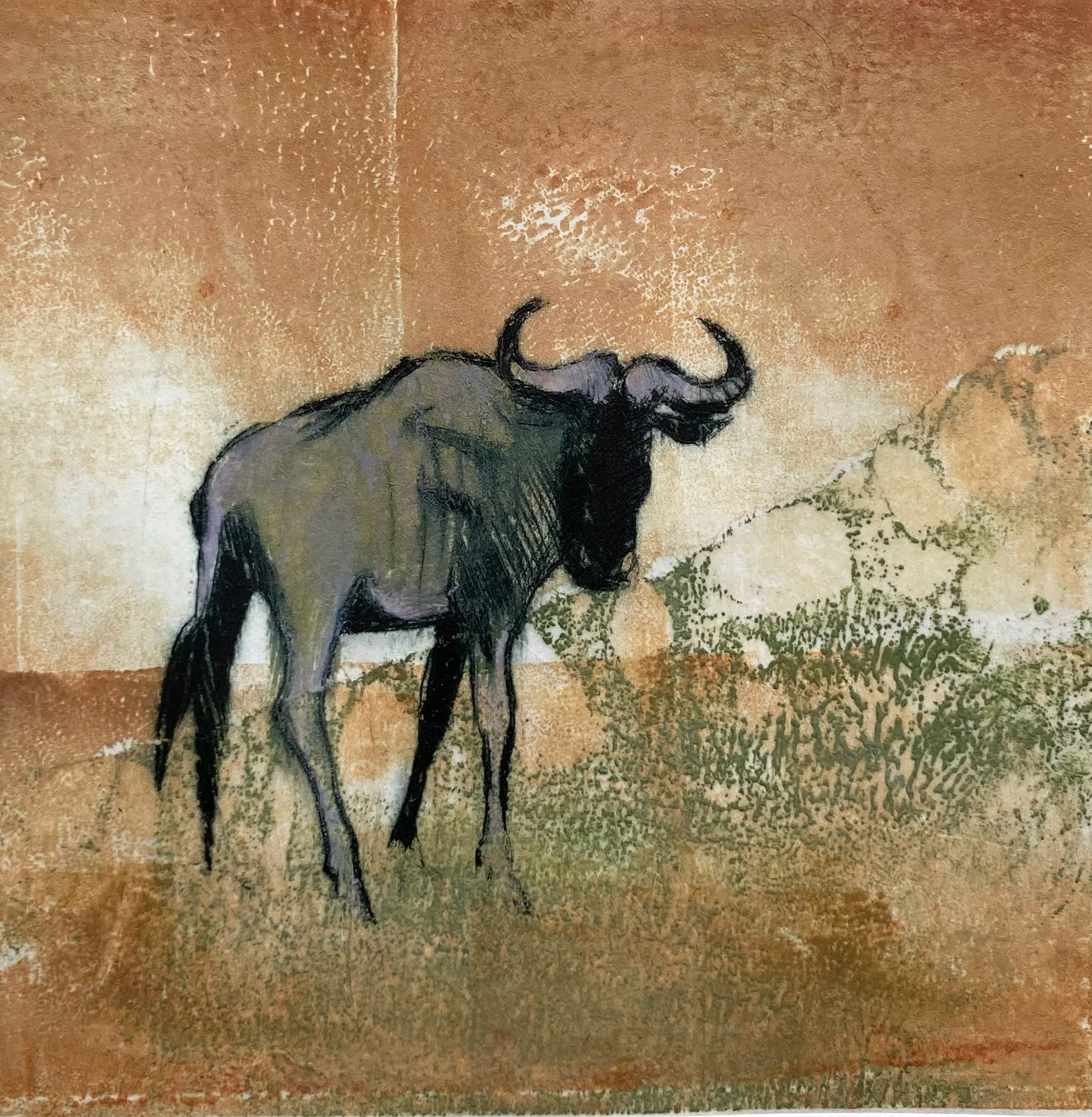 KALAHARI DREAMING IV