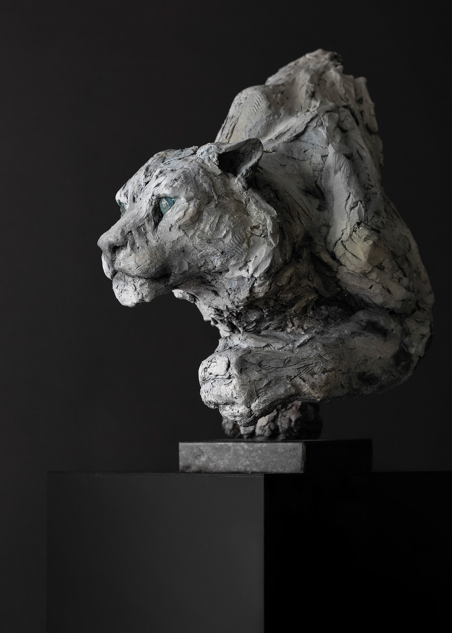 QUIET FORCE OF NATURE – STALKER